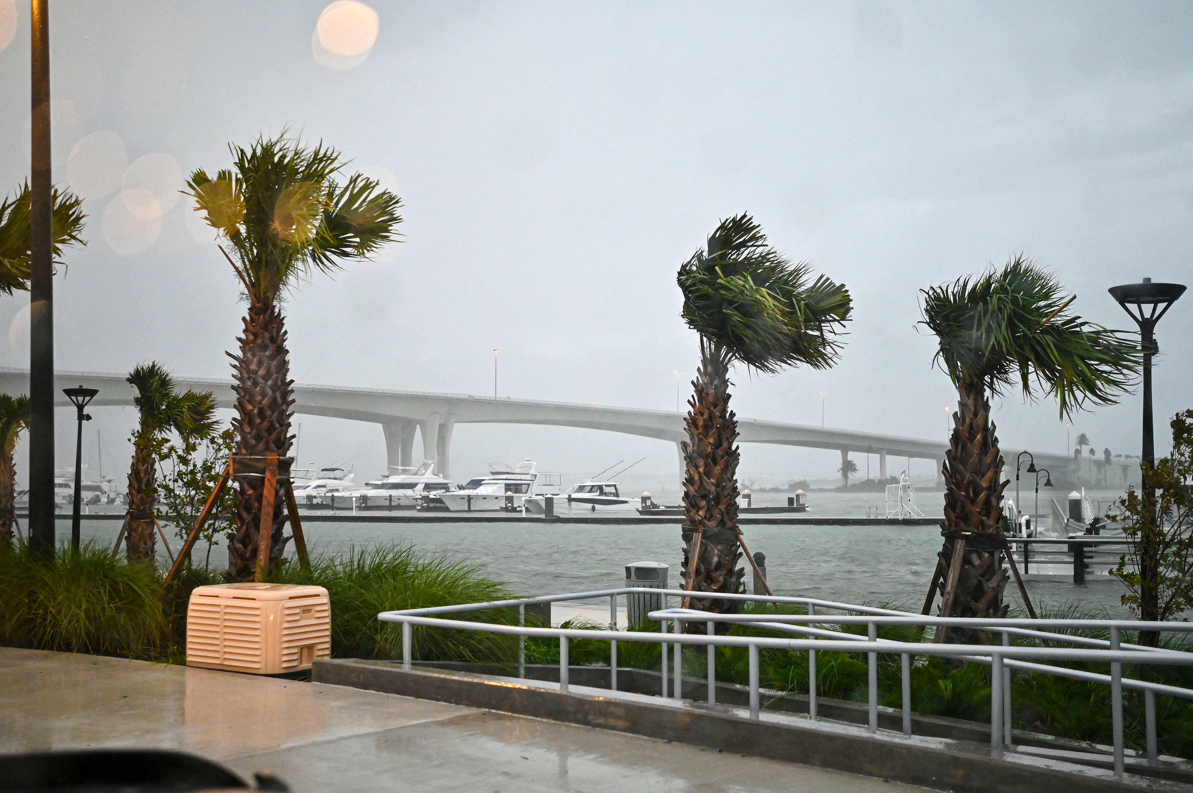 Palm trees at the Clearwater Harbor Marina in Clearwater, Florida, are pushed by the wind on August 30, after Idalia made landfall