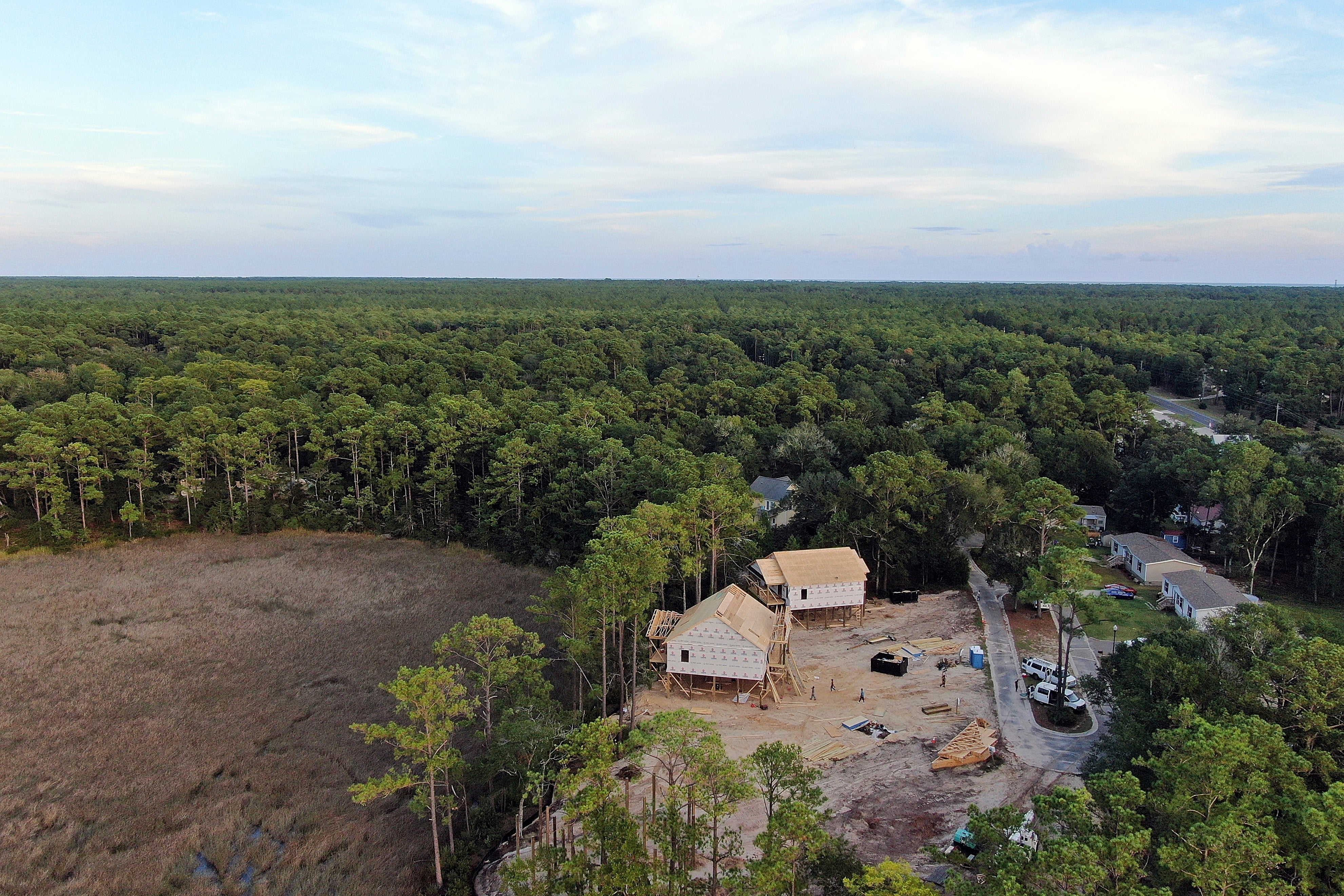Wetlands State Fights