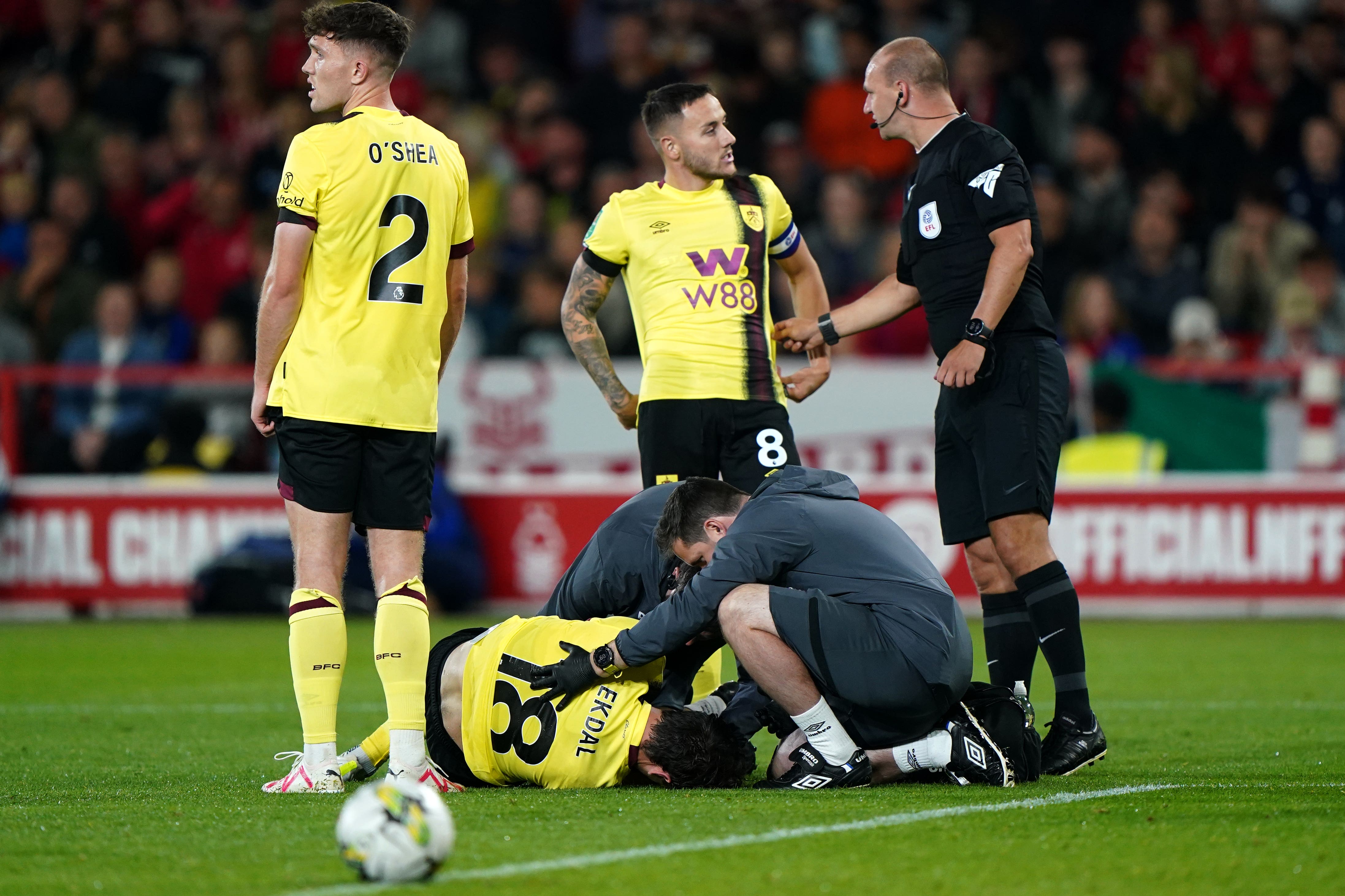 Hjalmar Ekdal left the field on a stretcher (Joe Giddens/PA)