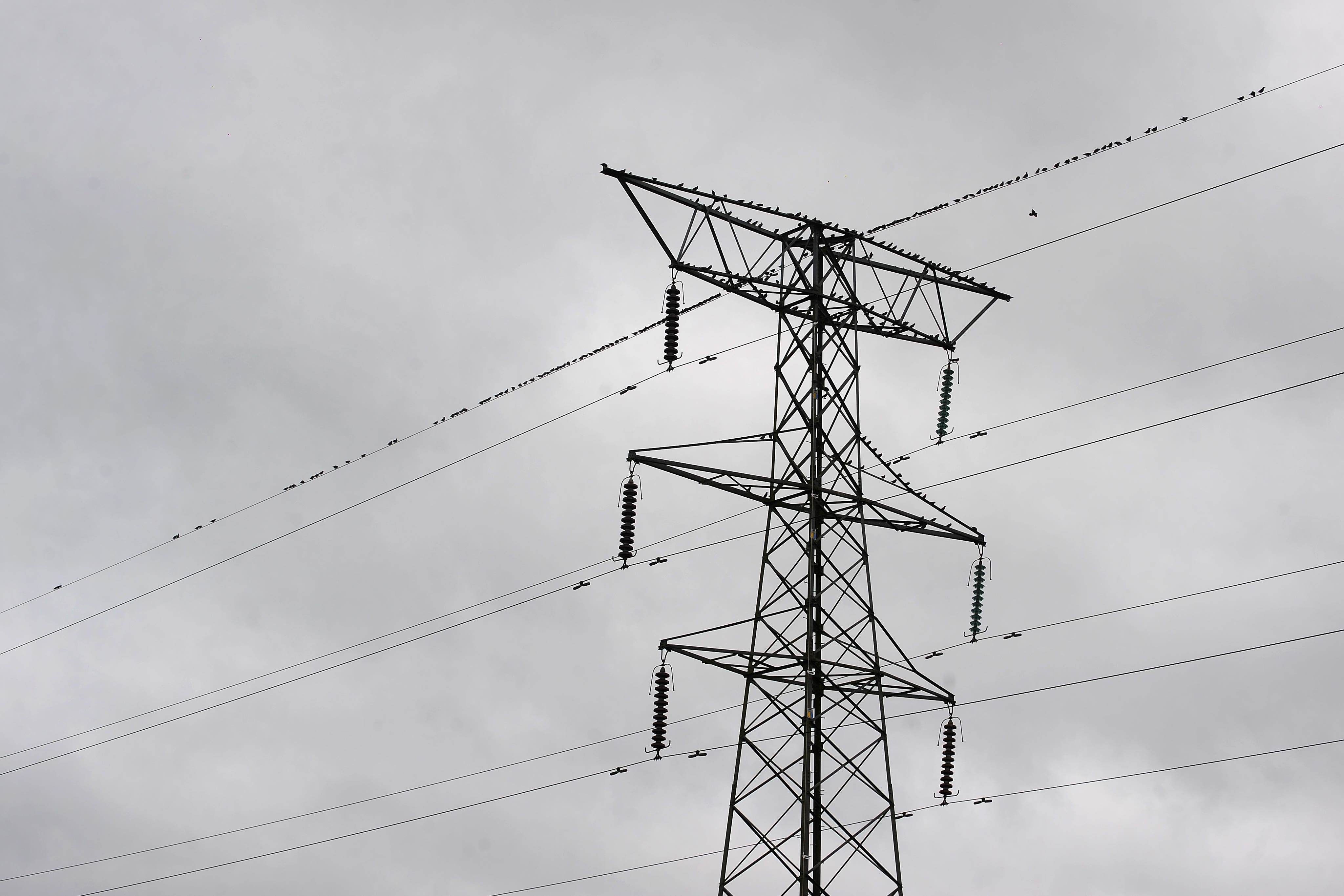 Households are to receive extra protection from artificially-inflated electricity bills this winter in a crackdown on generators attempting to make excessive profits (Joe Giddens/PA)