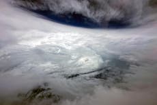 Typhoon Saola makes landfall in southern China after nearly 900,000 people moved to safety