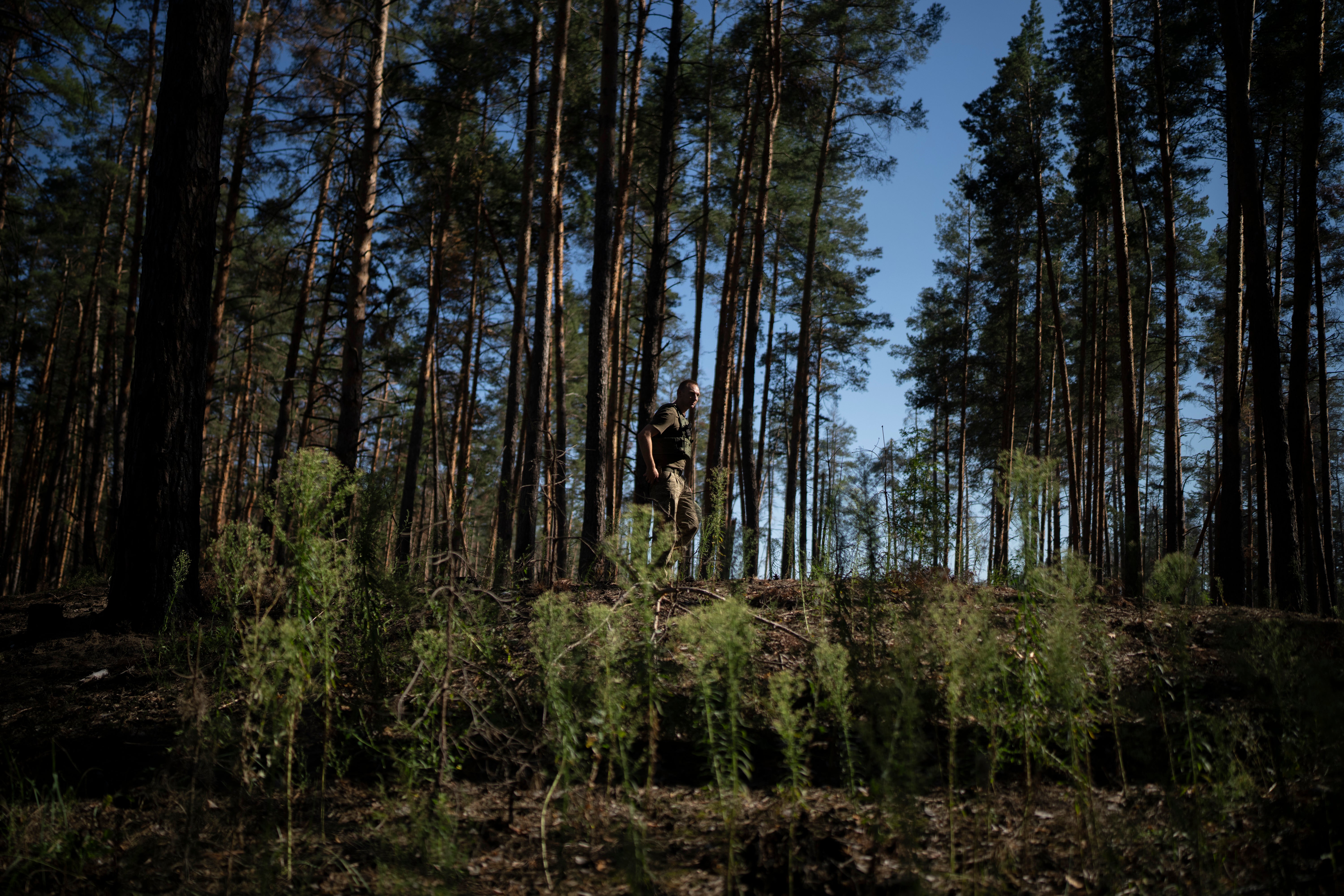 Russia Ukraine War Counteroffensive