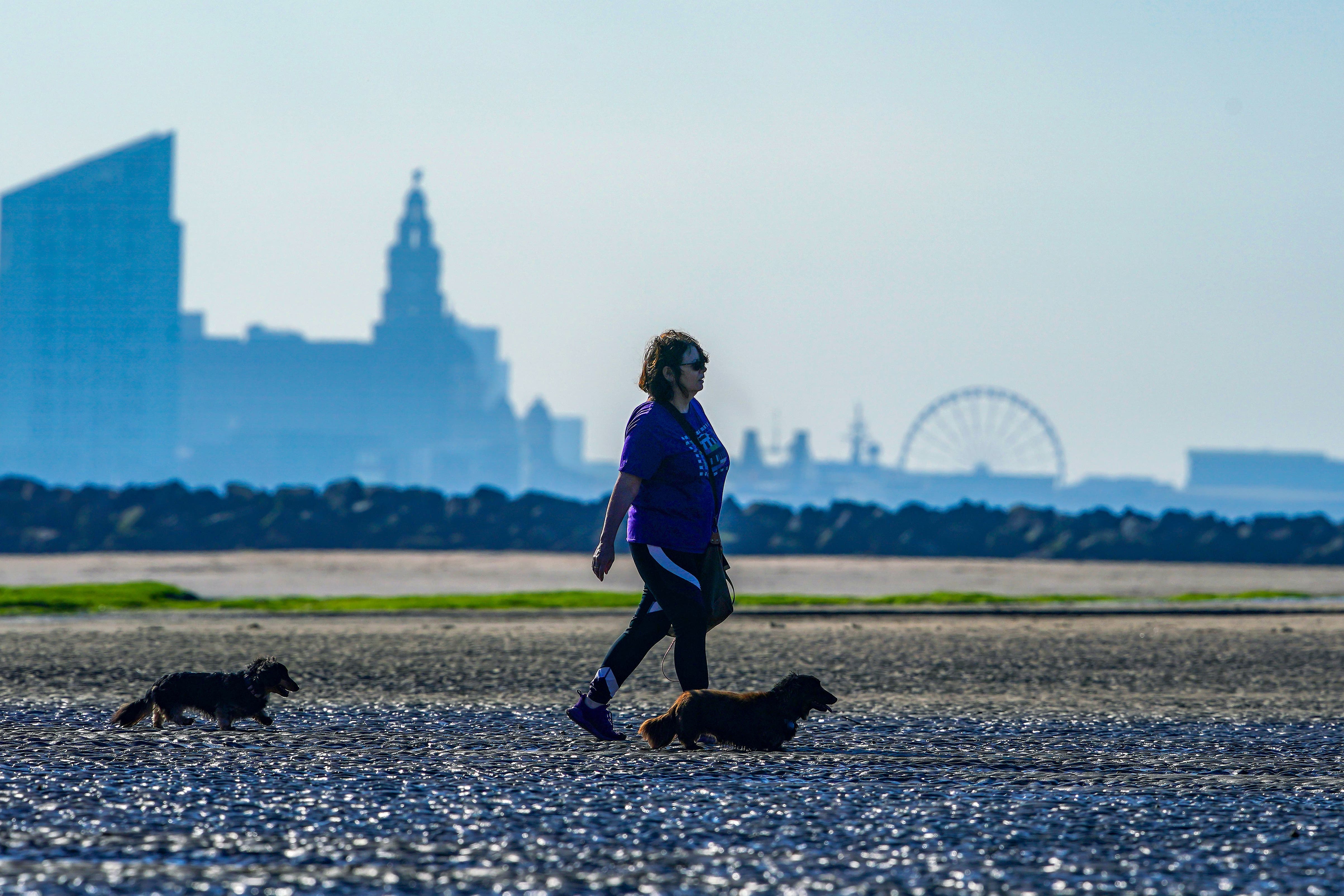 A woman walks her dogs along the beach at New Brighton (Peter Byrne/PA)