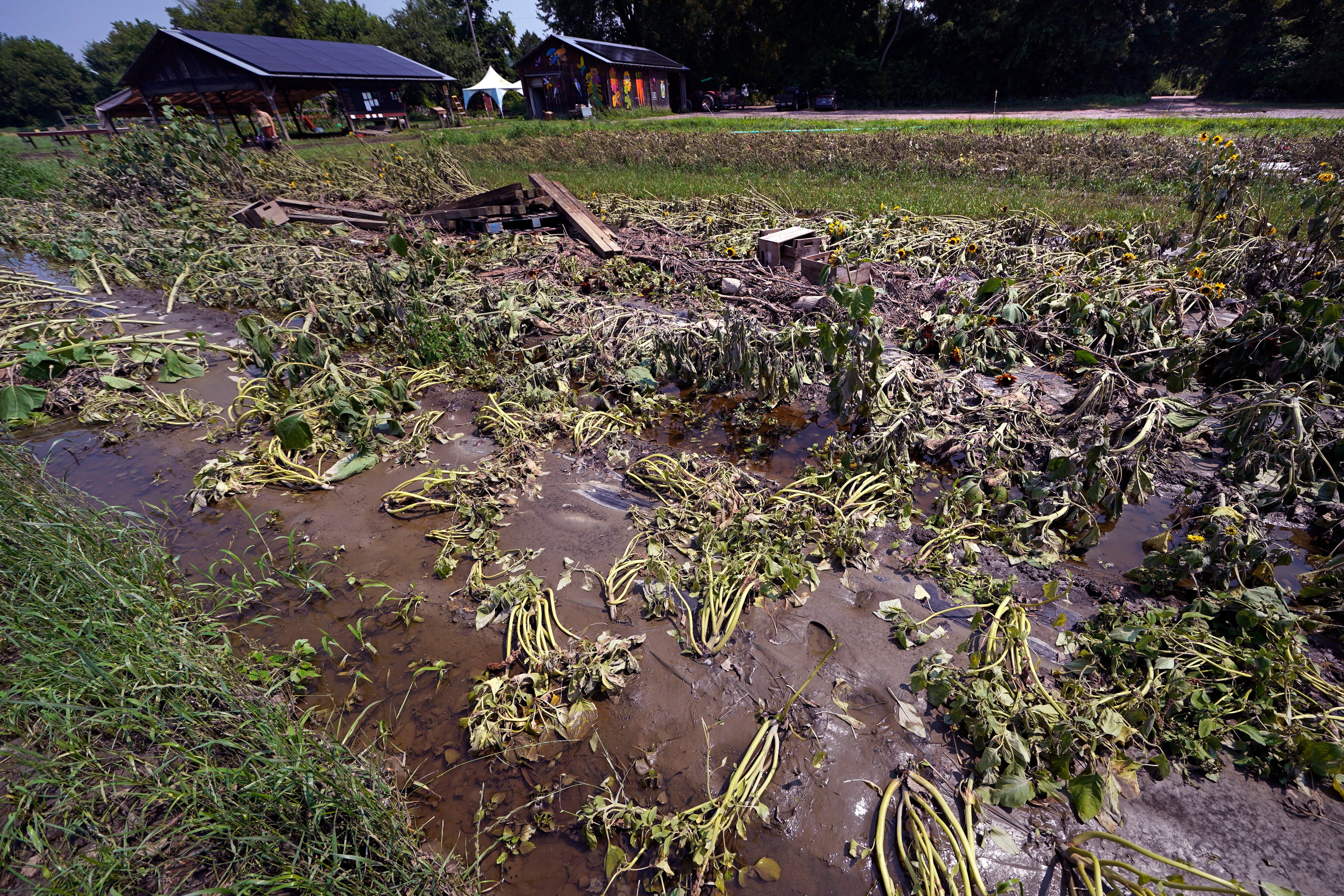 Vermont Flooding Farms