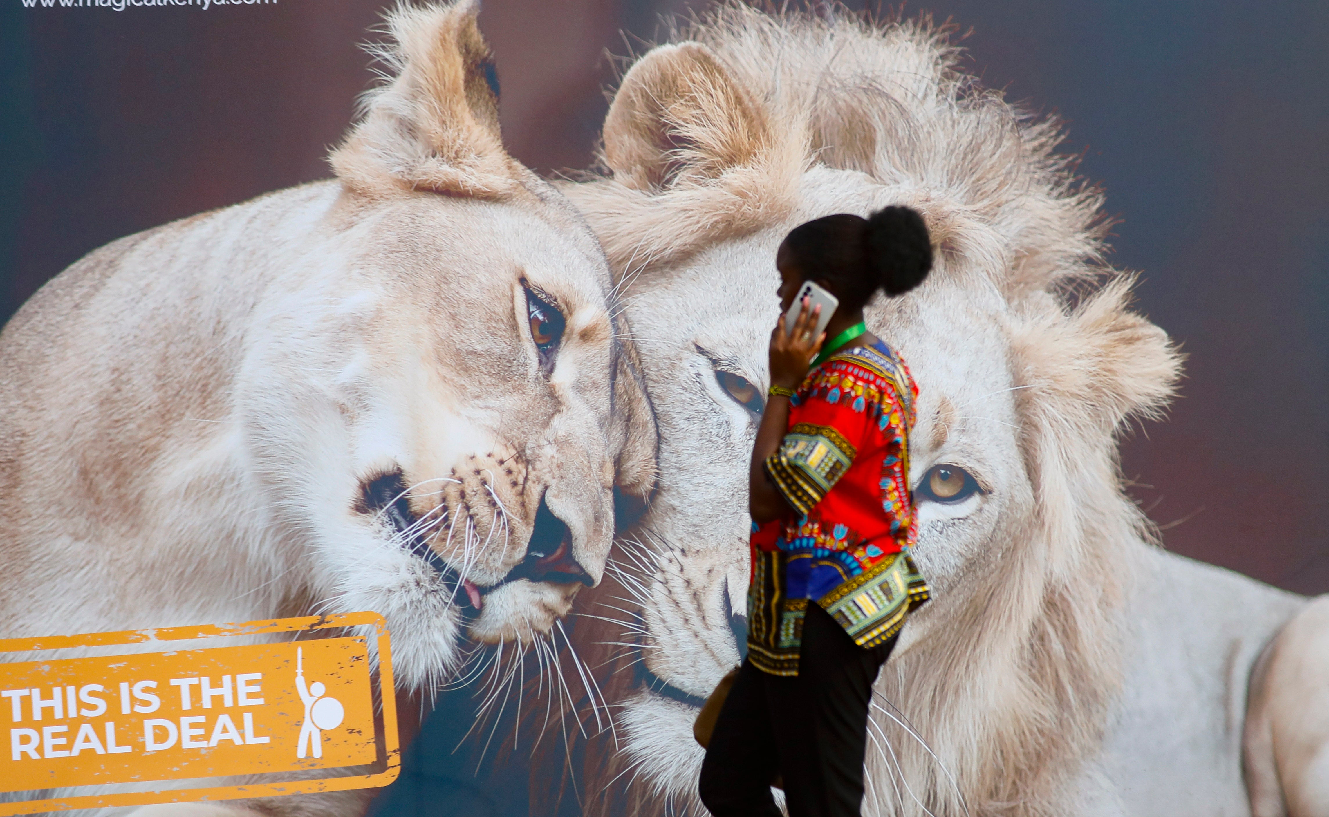 Kenya Africa Climate Summit