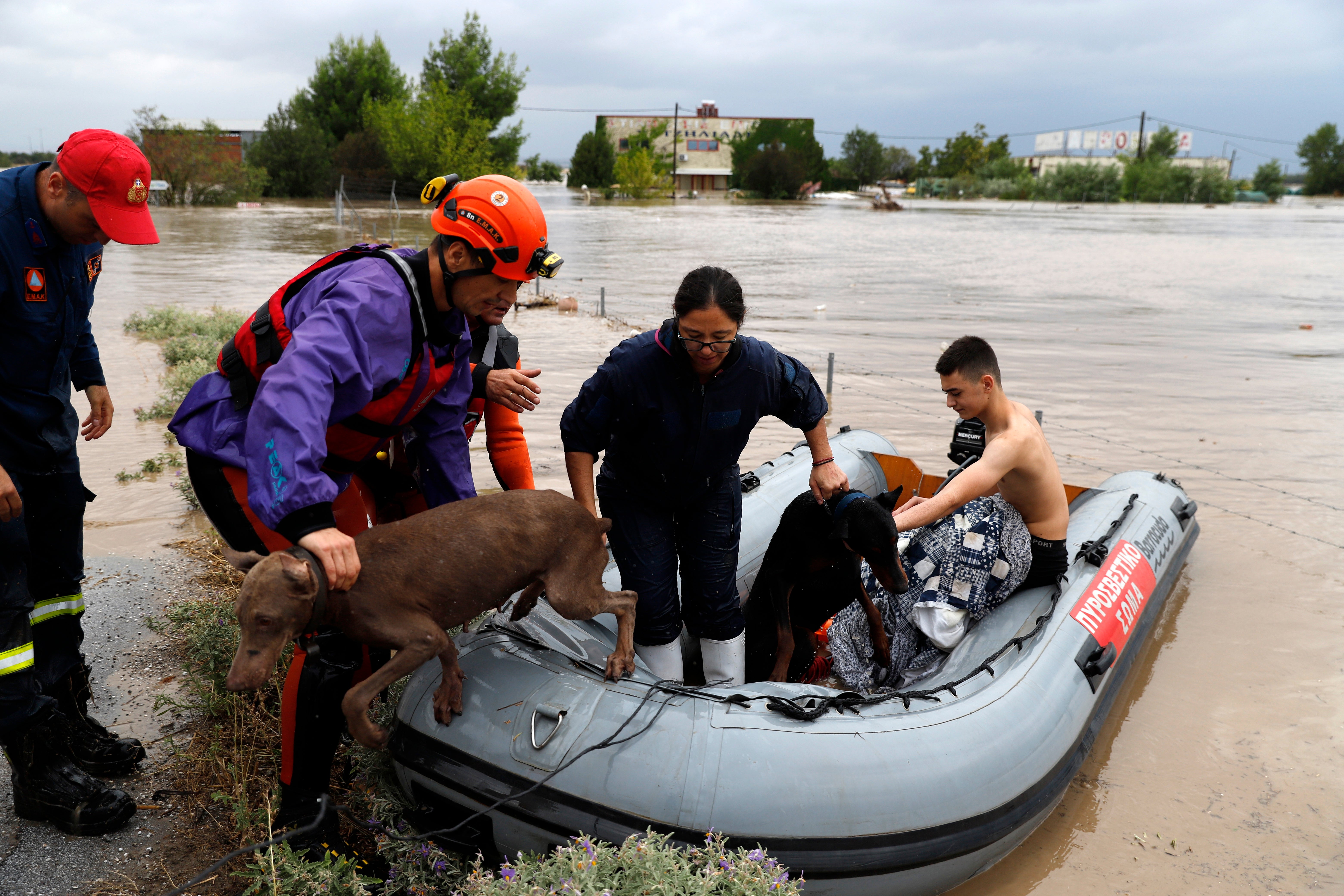 Firefighters with a rubber dinghy evacuee people and dogs from flooded buildings in Larissa