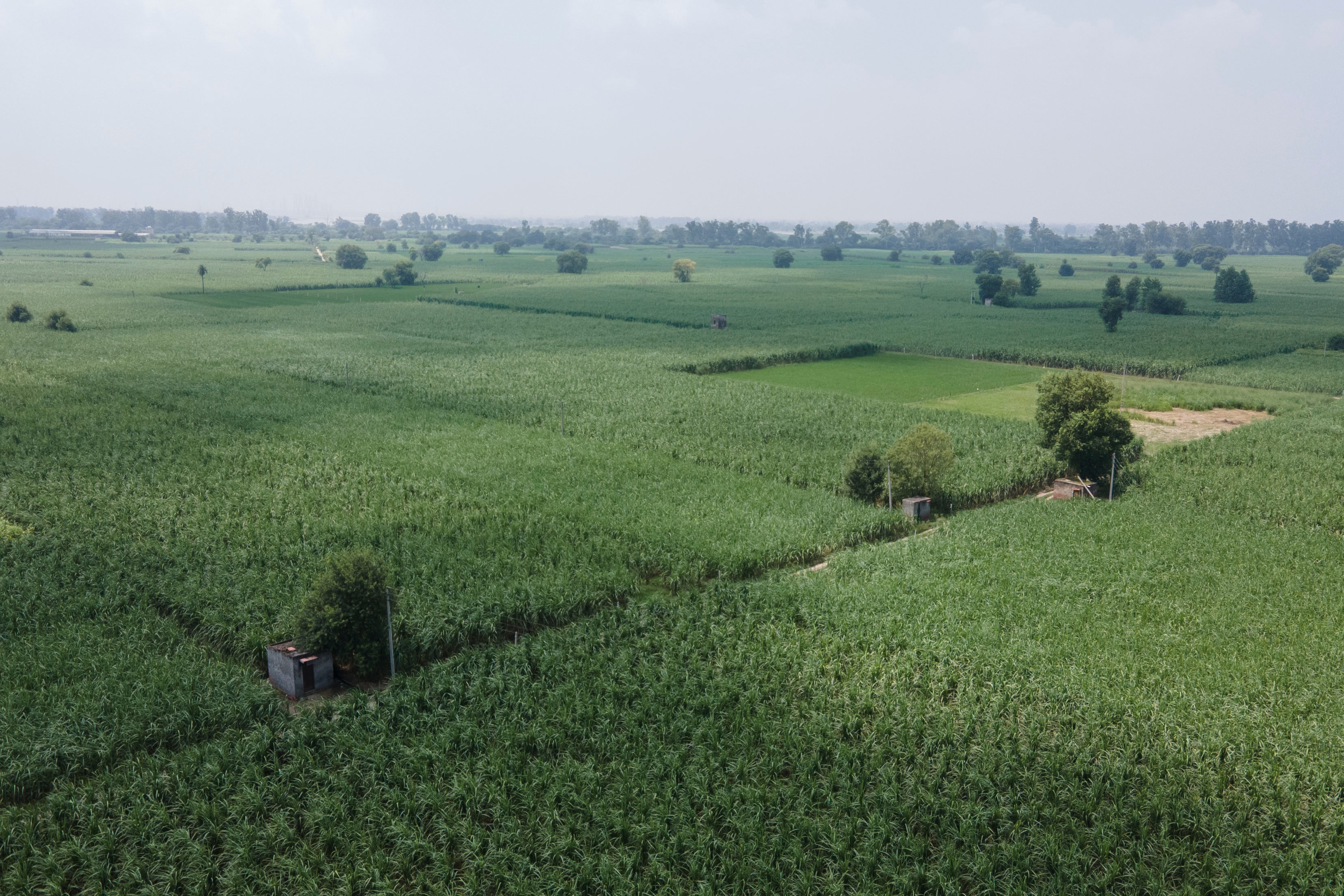 G20 Biofuels Explainer