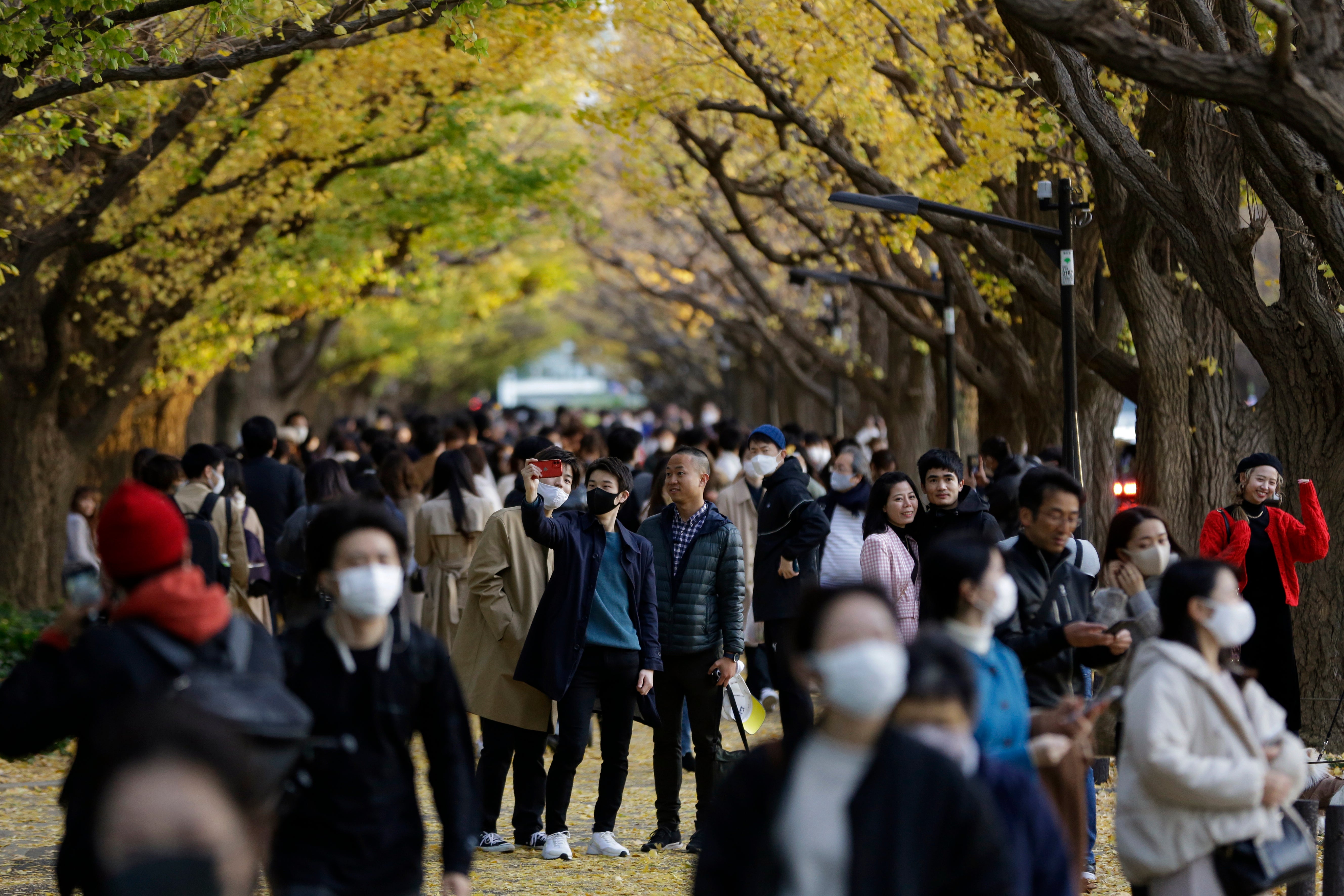 Japan Jingu Gaien Heritage Alert