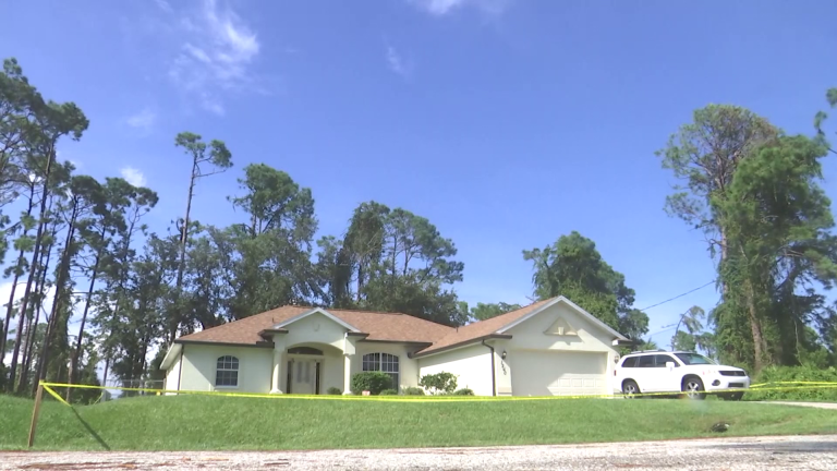 The couple were found dead, head-to-head in their home in New Port, Florida