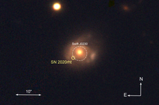 Astronomers observe sun-like star being ‘repeatedly shredded’ by black hole