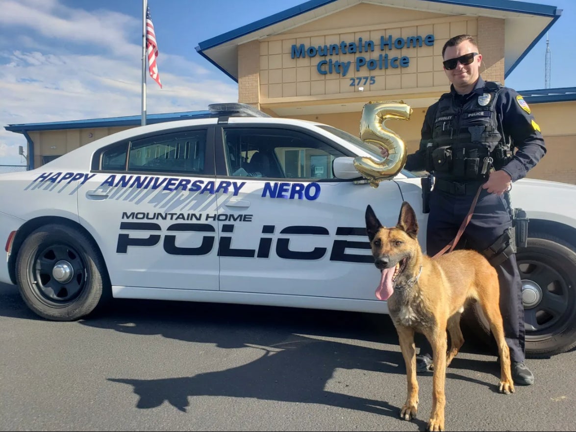 Nero the police dog celebrating his anniversary with the Mountain Home Police Department in Idaho