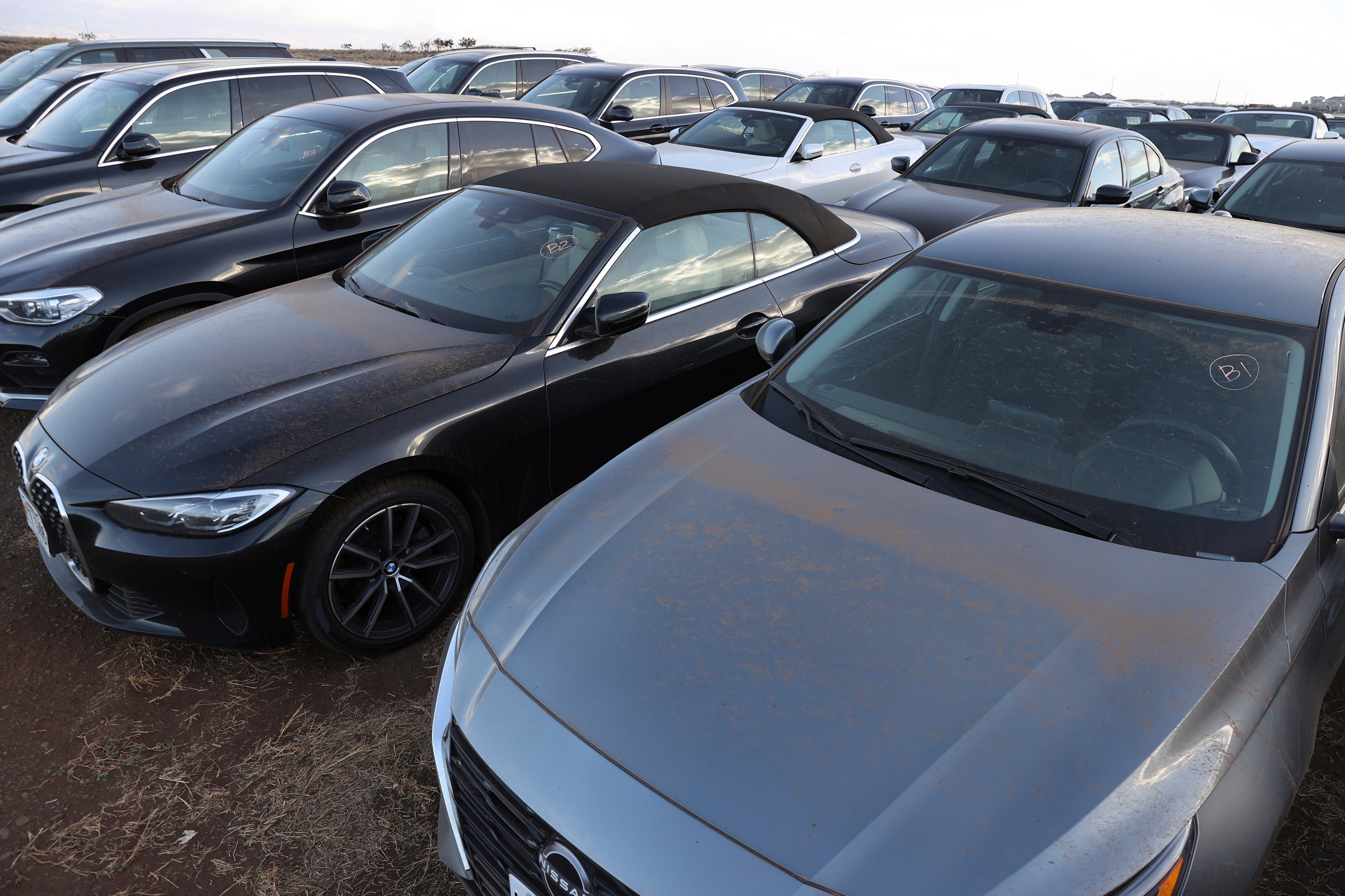 Hawaii Wildfires Tourism