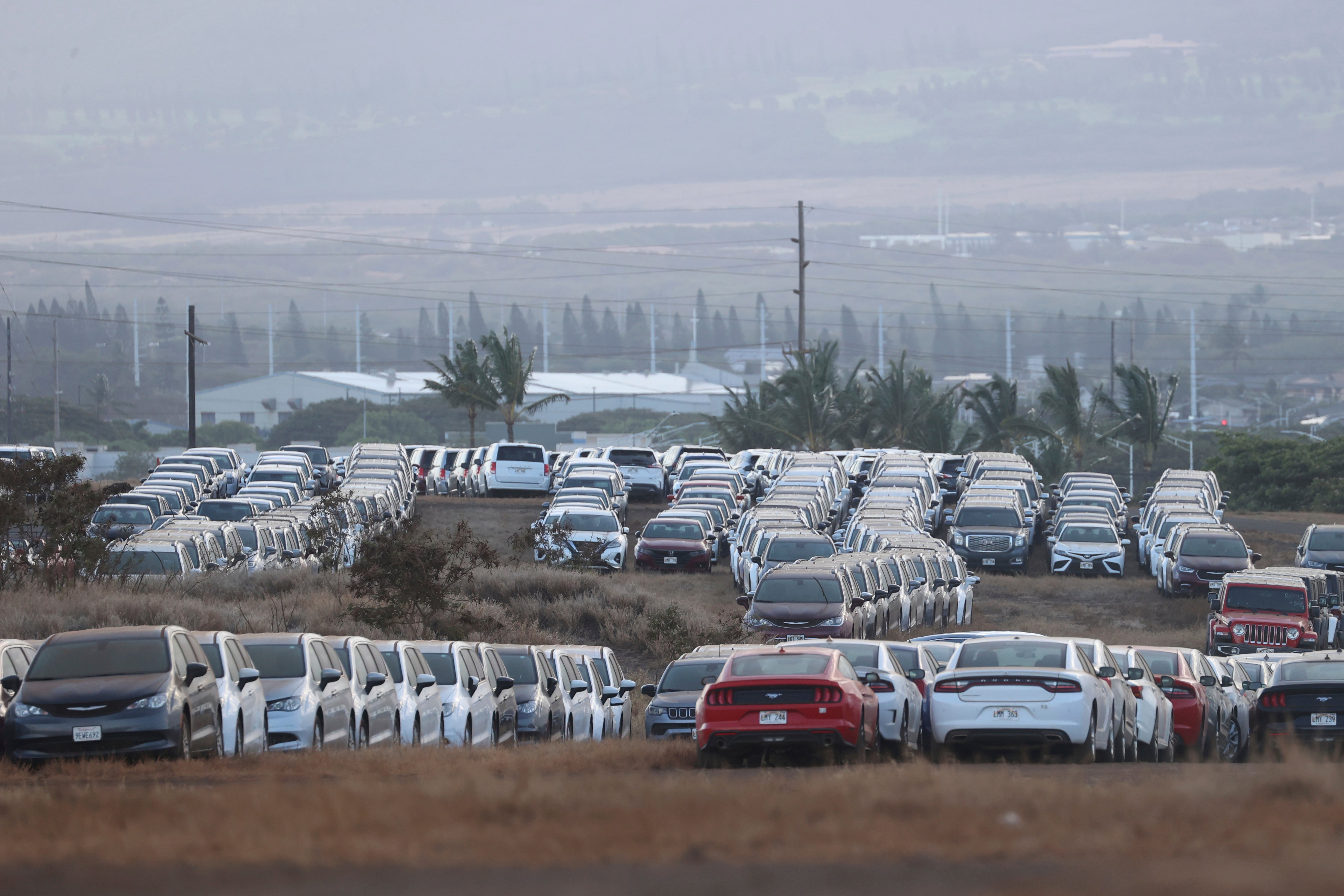 Hawaii Wildfires Tourism