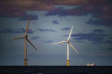 Lack of offshore wind in key auction deals blow to Government’s green promises