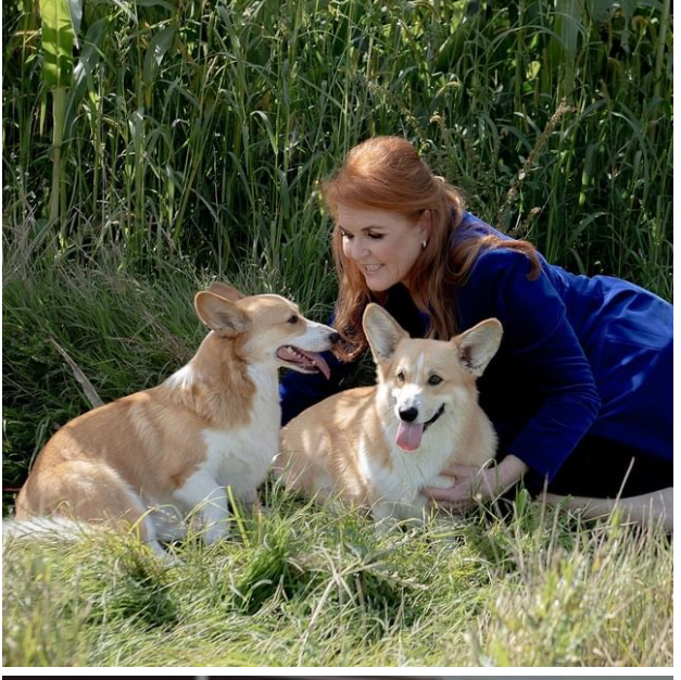 The Duchess of York has said she is “sure” that the late Queen “talks to her” through her pet corgis.
