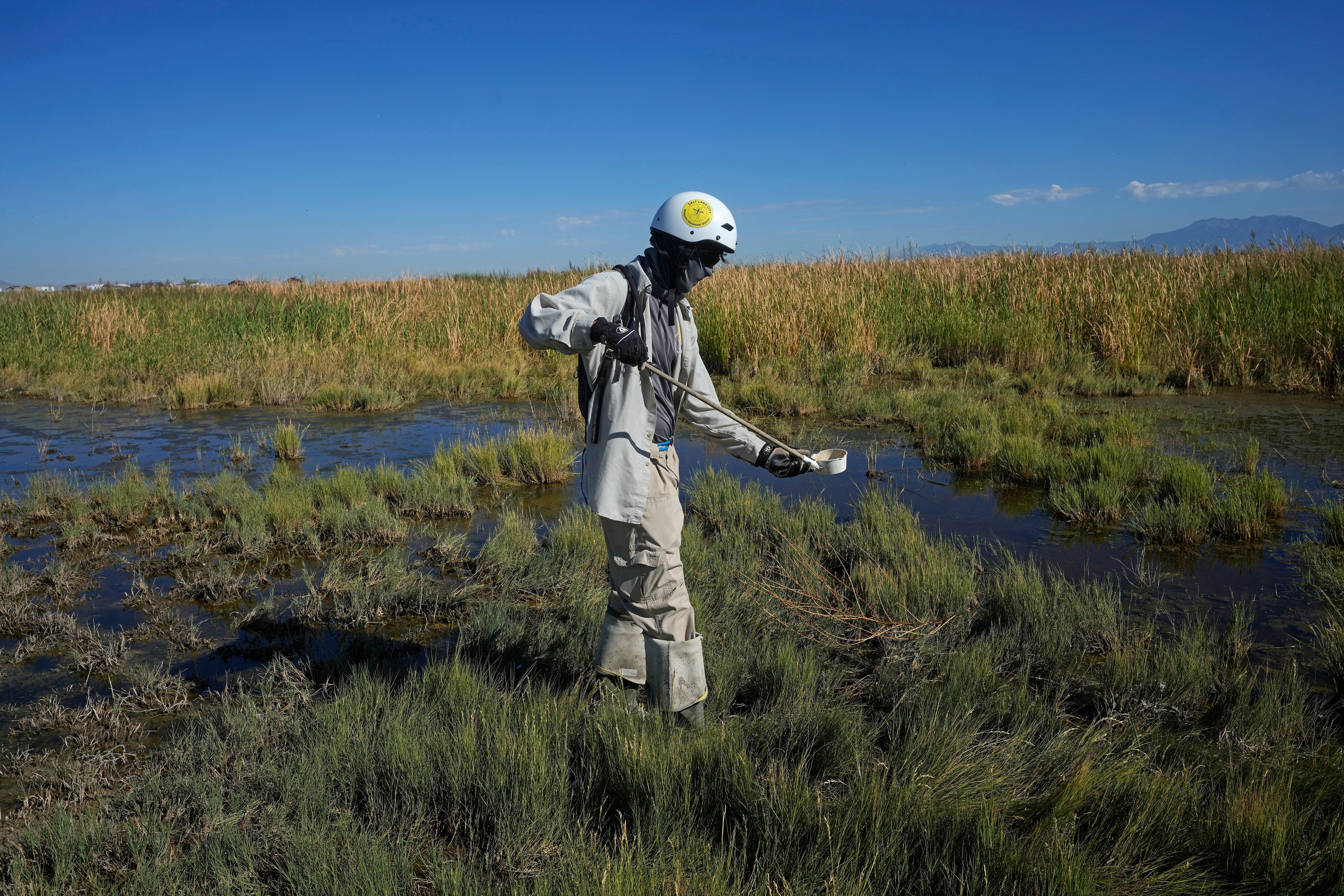 Mosquitoes Health and Climate