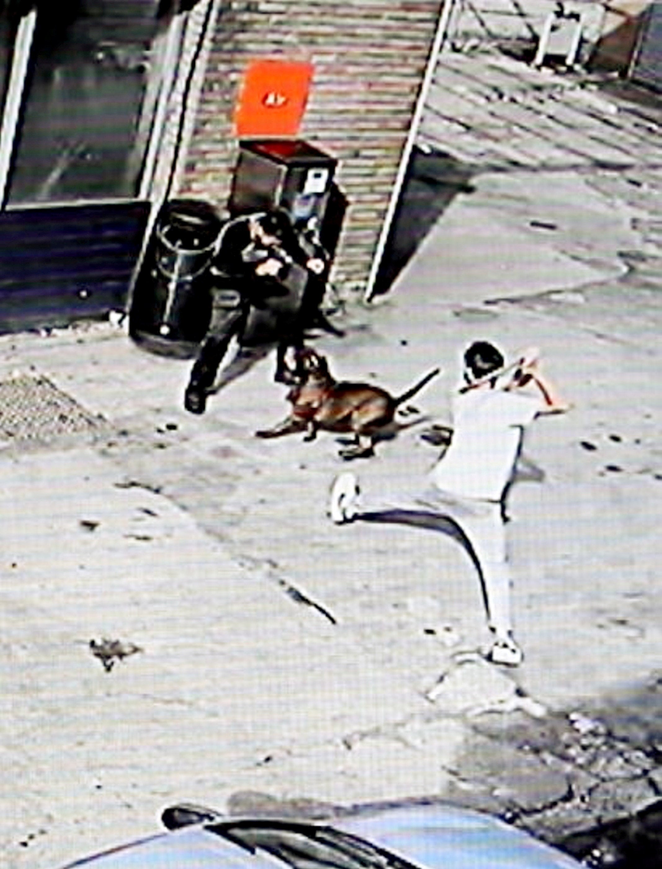 CCTV footage of the dog attacking members of the public on a garage forecourt, in Bordelsy Green