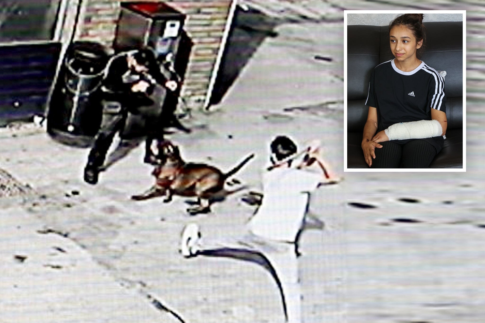 A dog was captured on CCTV attacking members of the public in Birmingham, including an 11-year-old girl