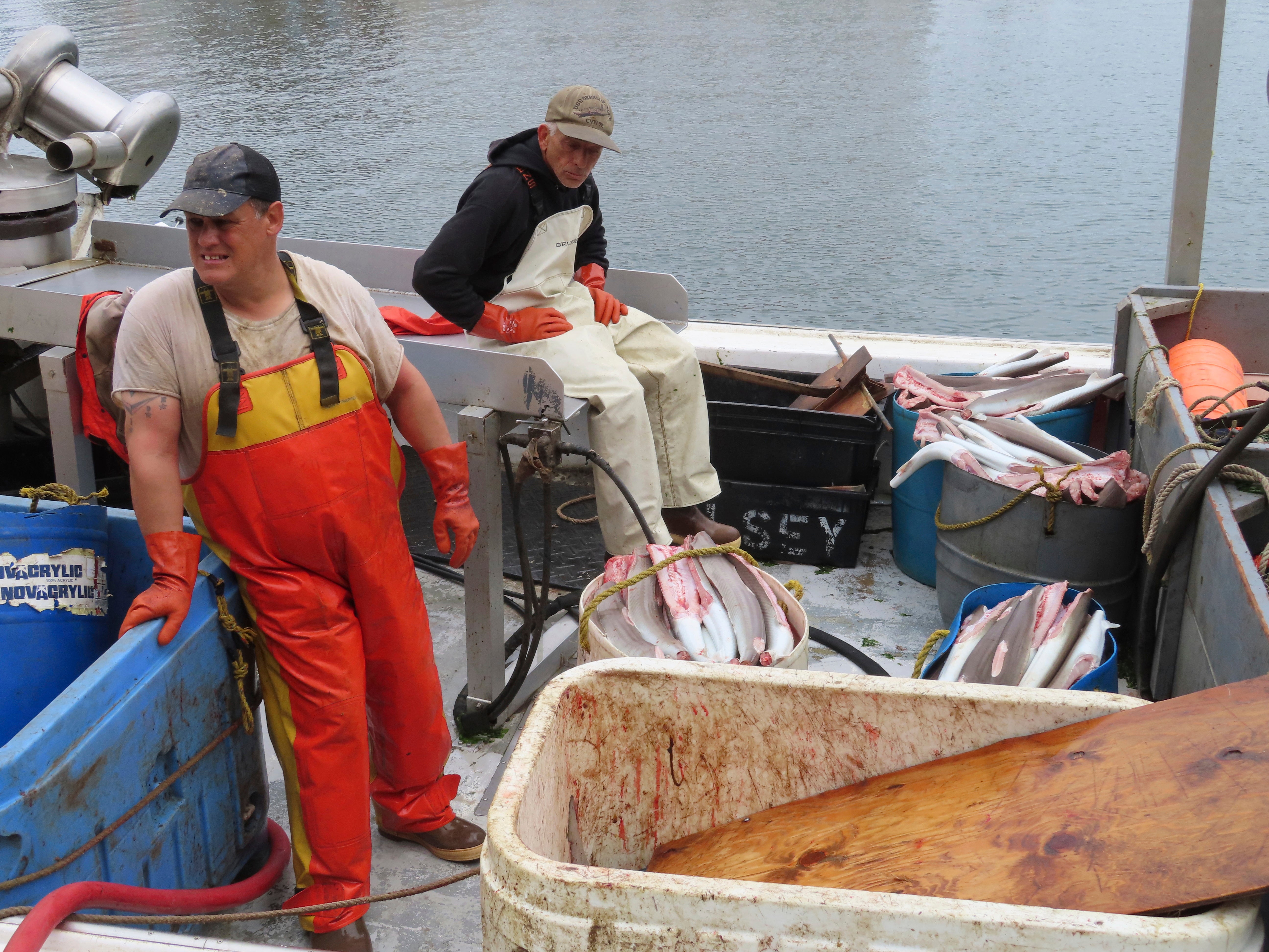 Offshore Wind Unknowns