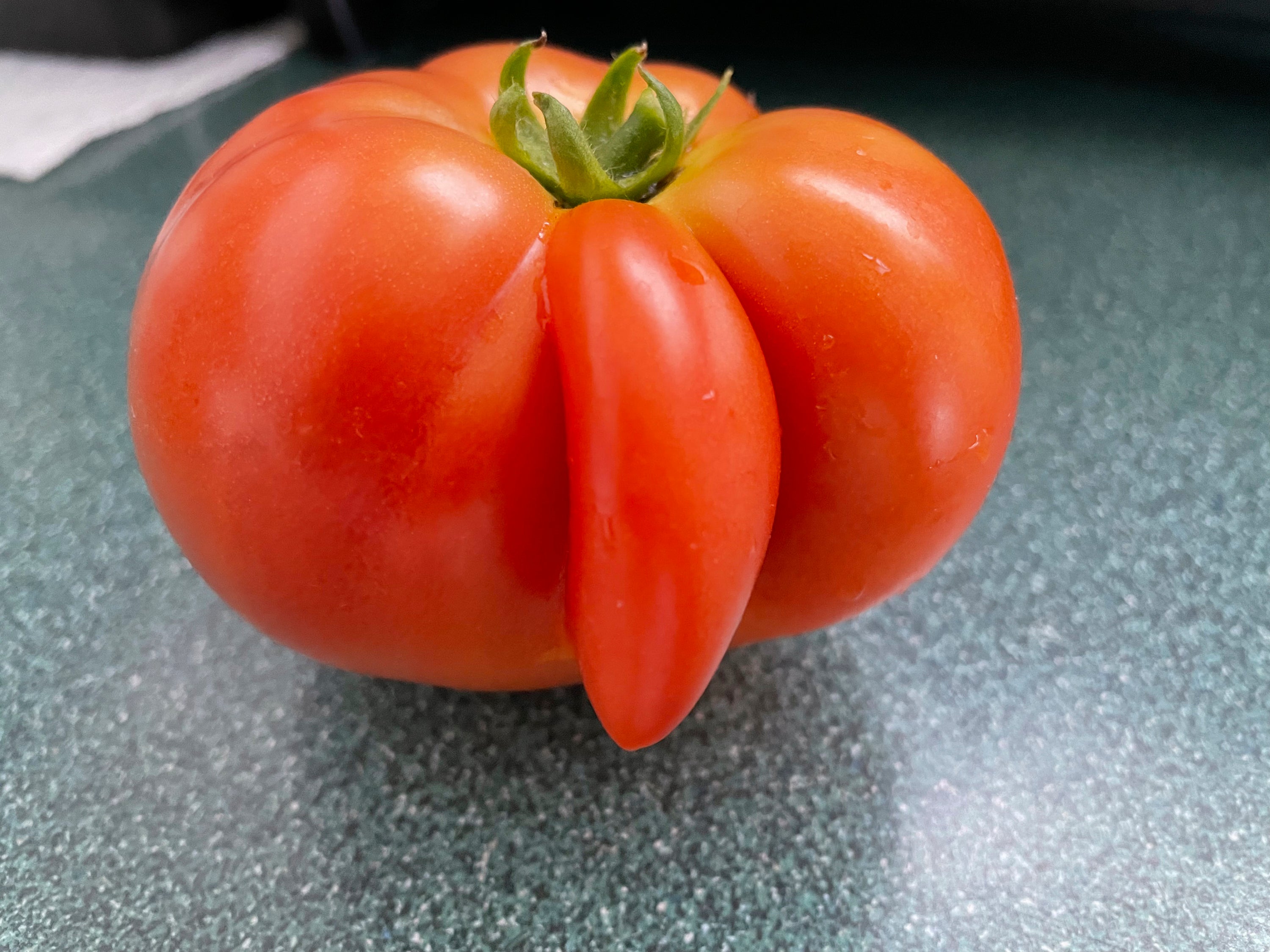 Gardening - Mutant Tomatoes