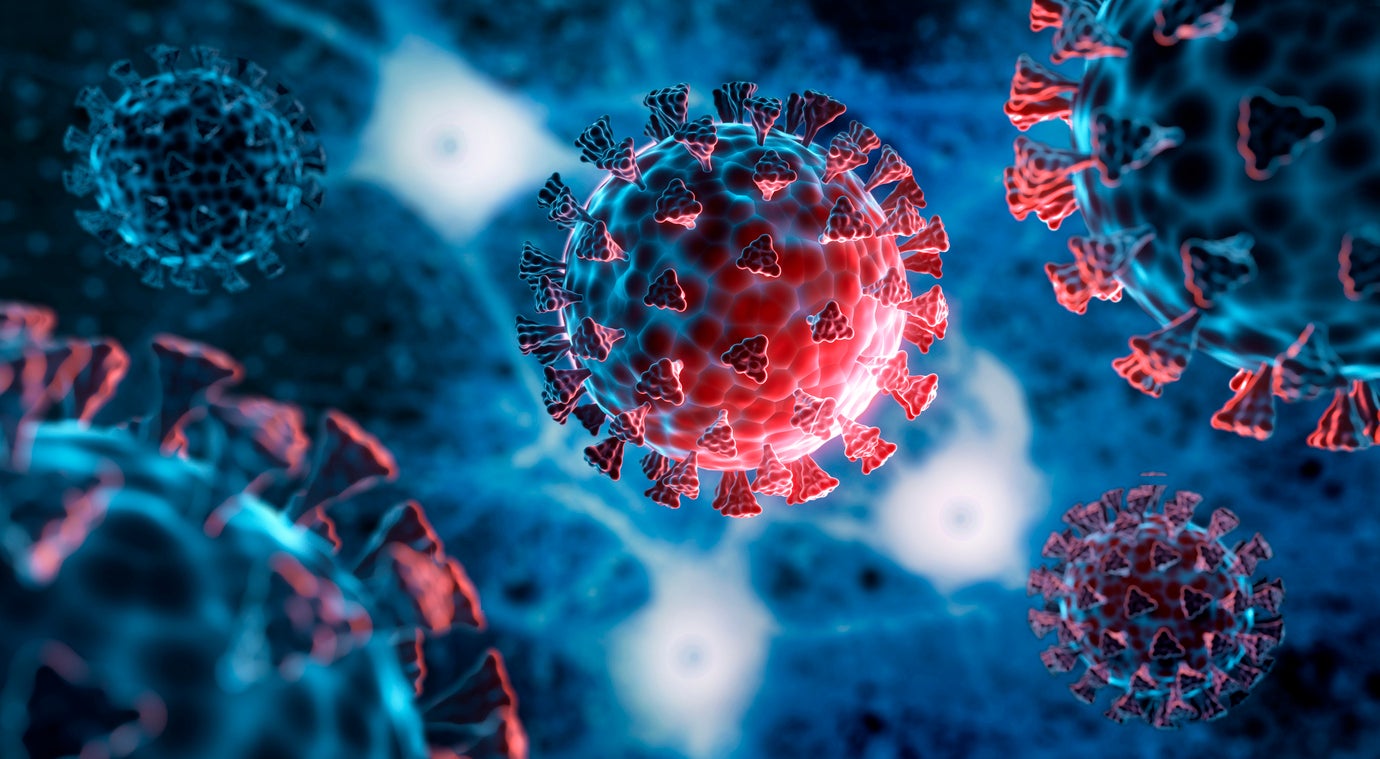 Pirola is the latest mutation of the Omicron strain