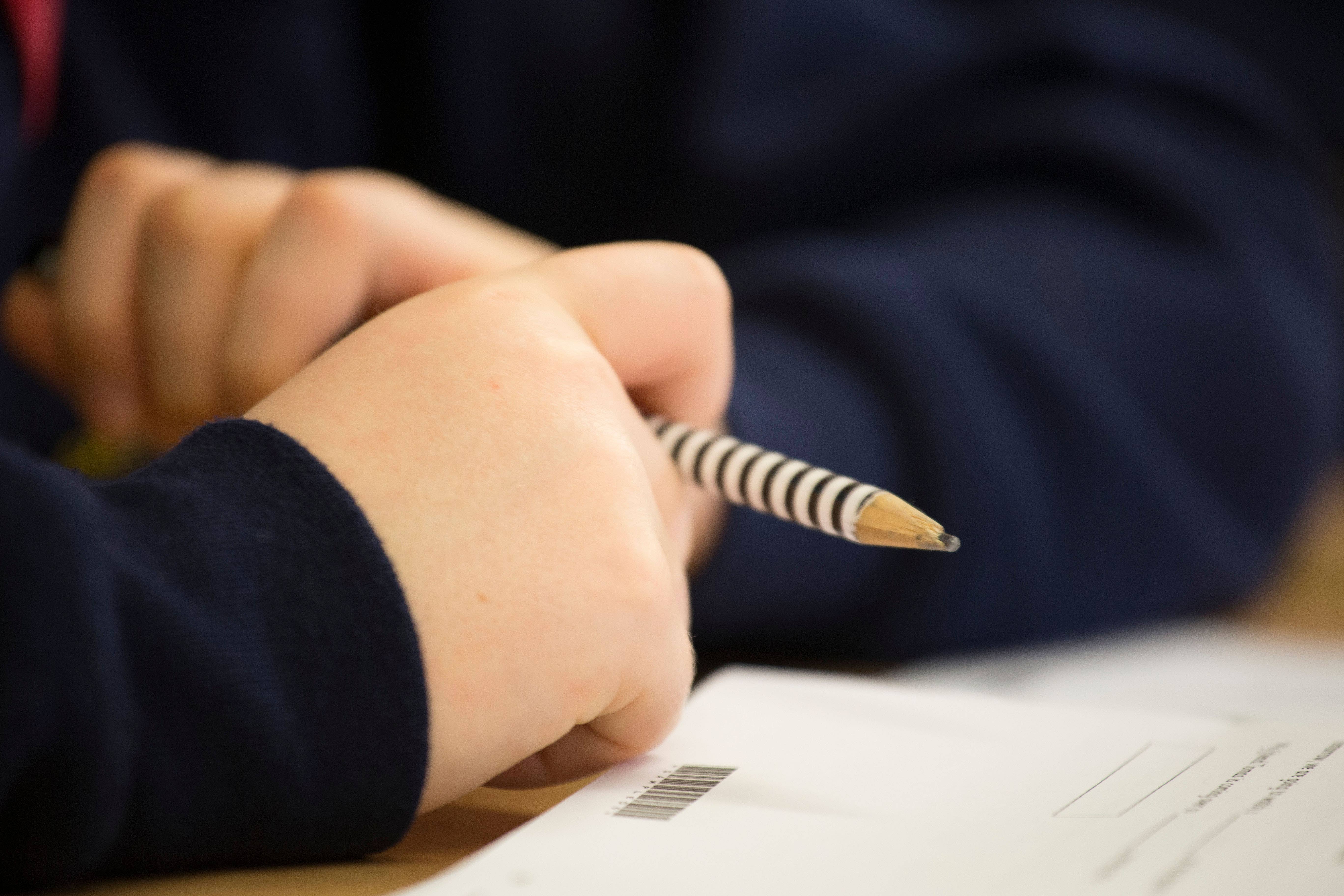 Overall, 73% of Year 6 pupils in England achieved the expected standard in reading (Alamy/PA)