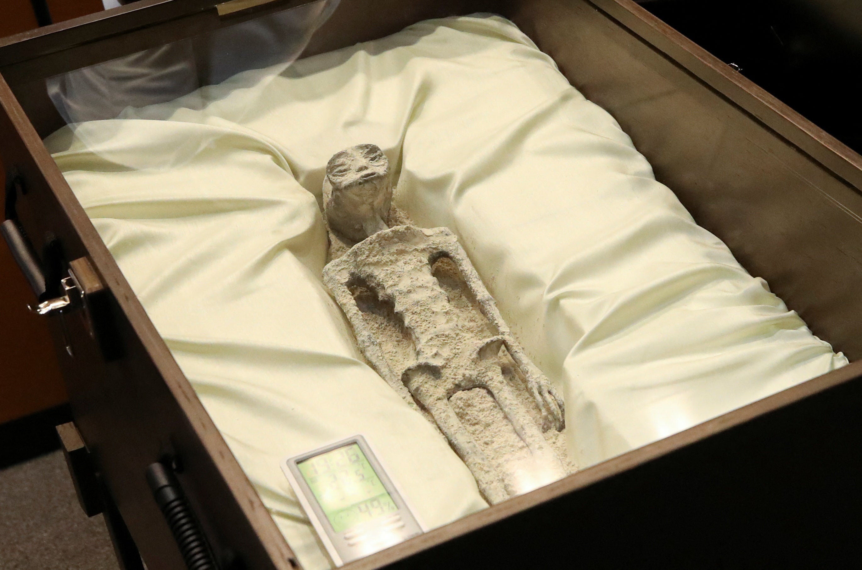 The mummified remains were claimed to have DNA which is 30 per cent ‘unknown’