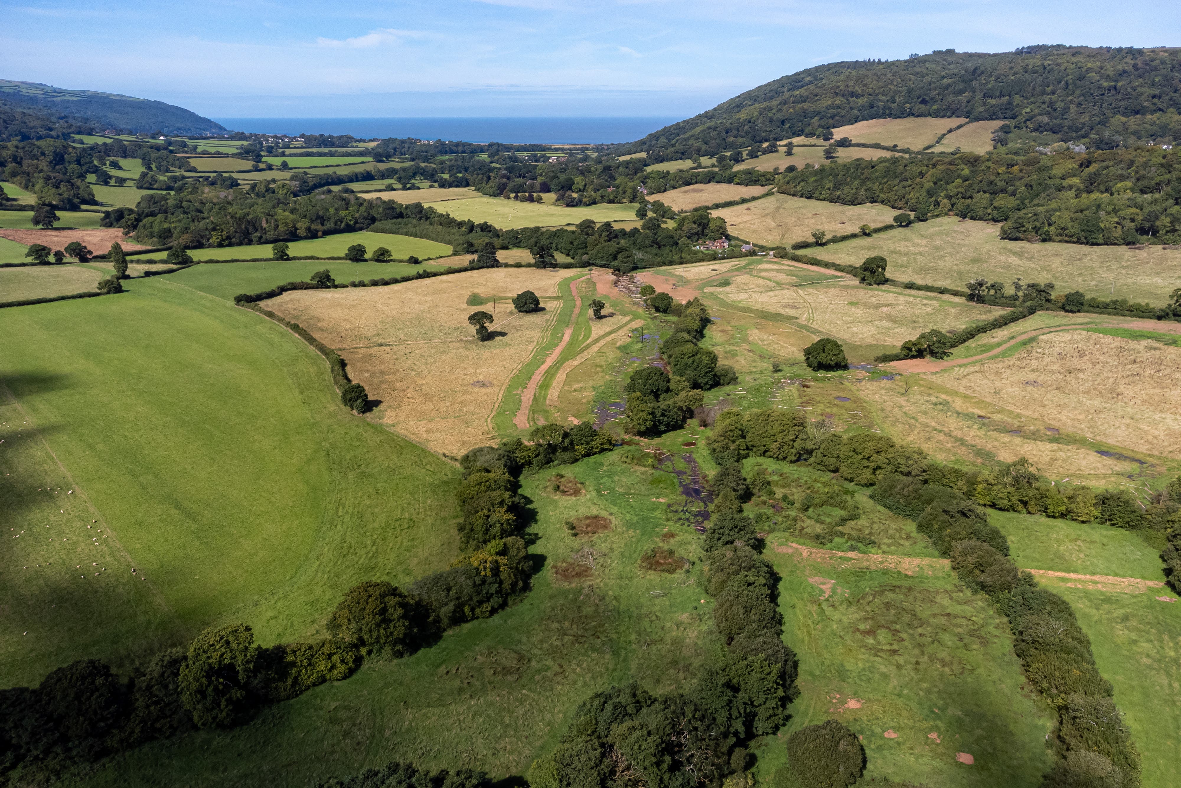 A 1.2km stretch of the River Aller was filled in to create a new seven-hectare area of wetland (Ben Birchall/PA)