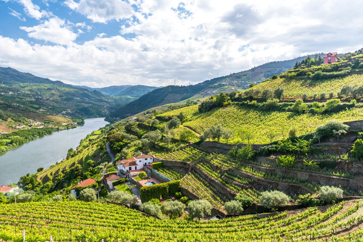 The Douro Valley is one of Portugal’s most renowned wine-producing regions