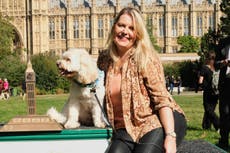 Minister’s cockapoo wins Westminster Dog of the Year