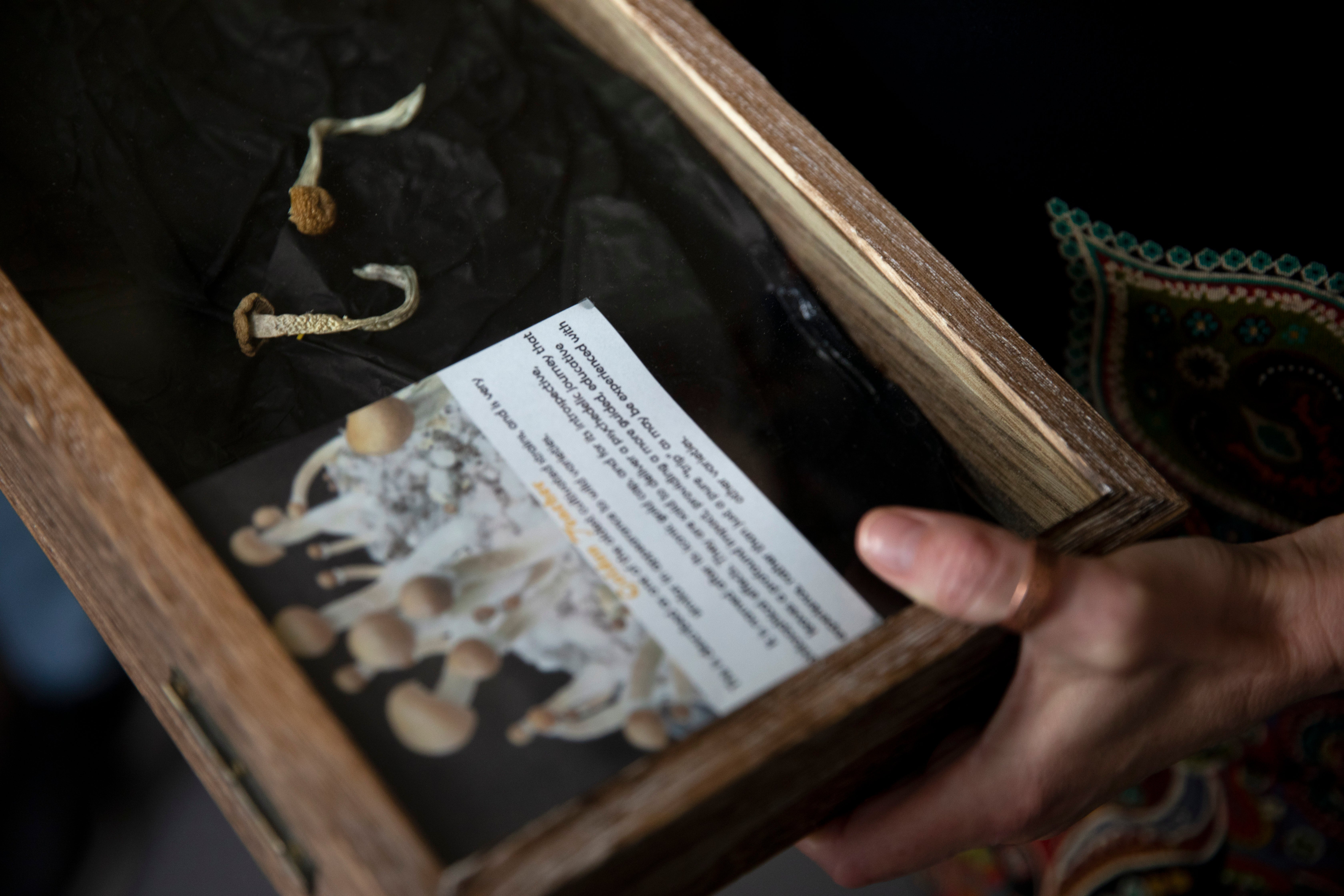 Oregon Magic Mushrooms