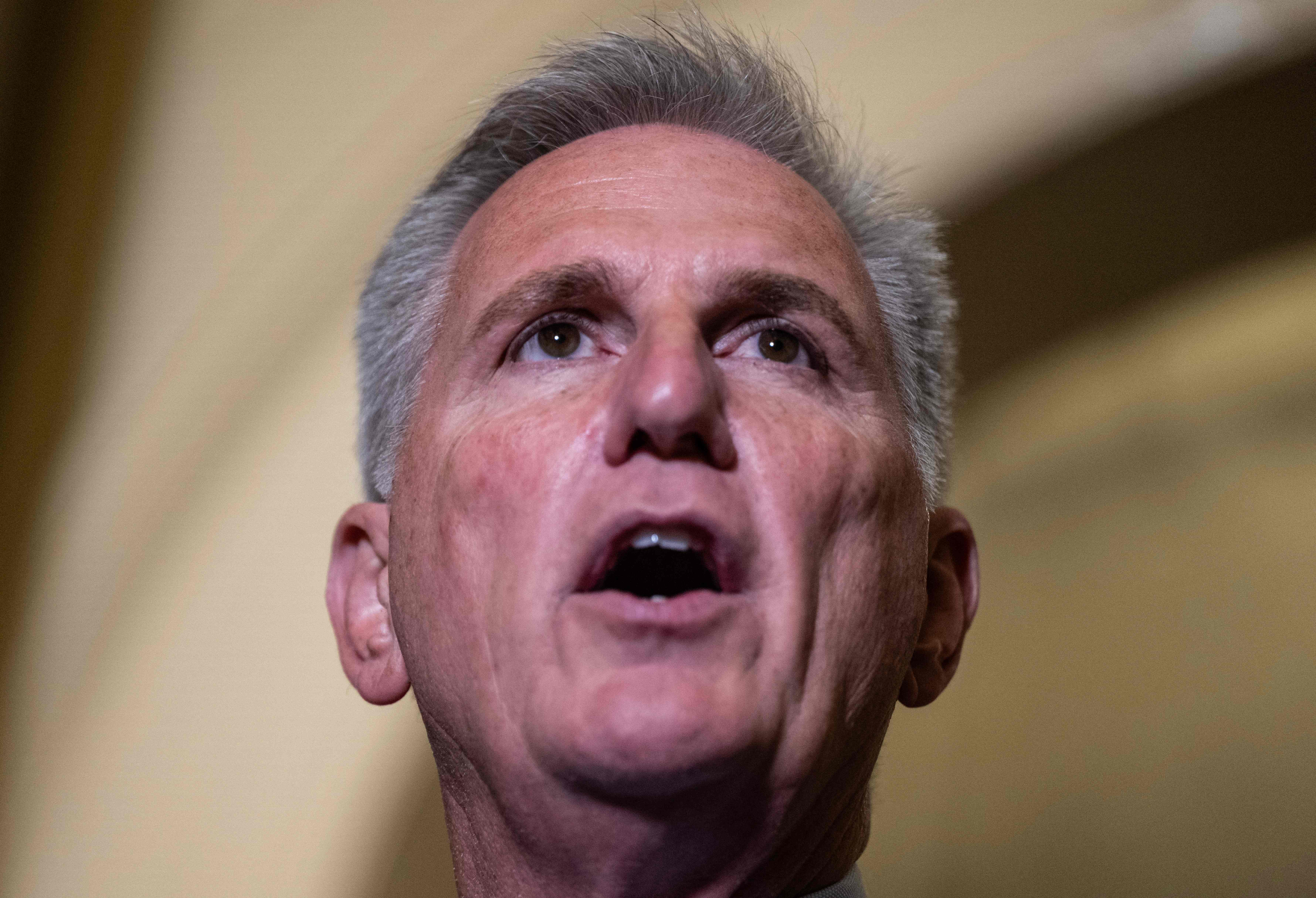 Kevin McCarthy and House Republicans will own this shutdown