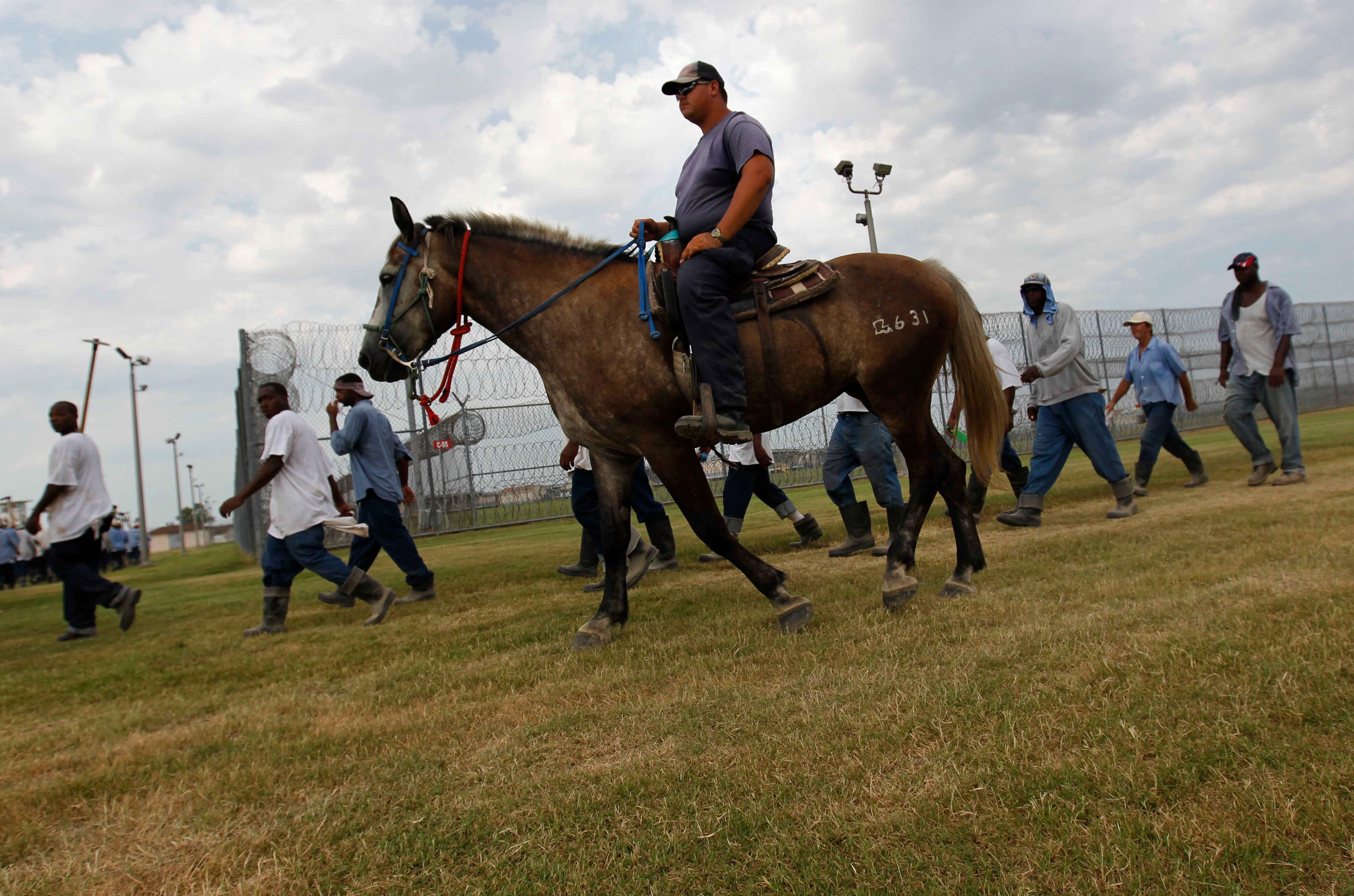 Louisiana Prison Farm