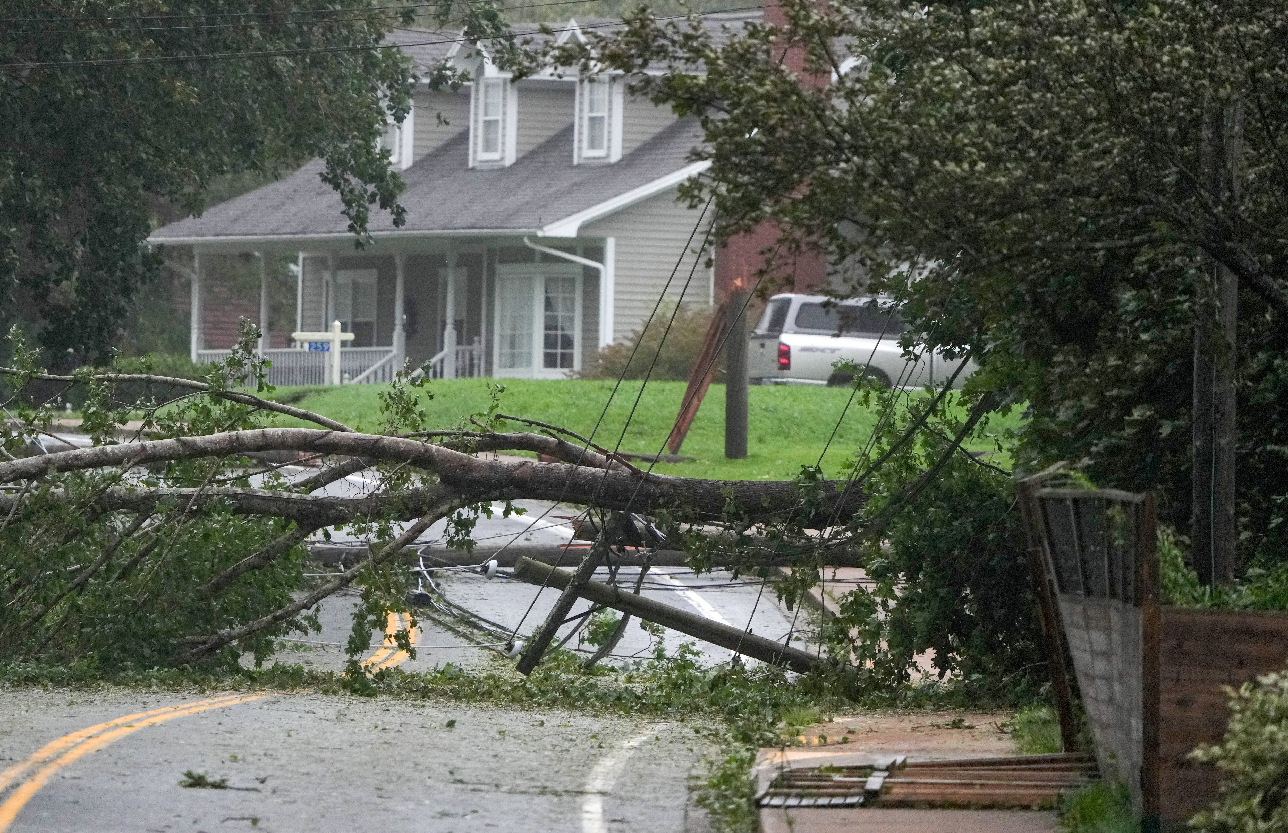 A tree on the ground is pictured after taking down the power lines and shutting off access to this road in Liverpool, Nova Scotia