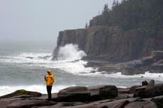 Motorist dies after tree limb falls on vehicle as Atlantic storm Lee batters New England and Canada