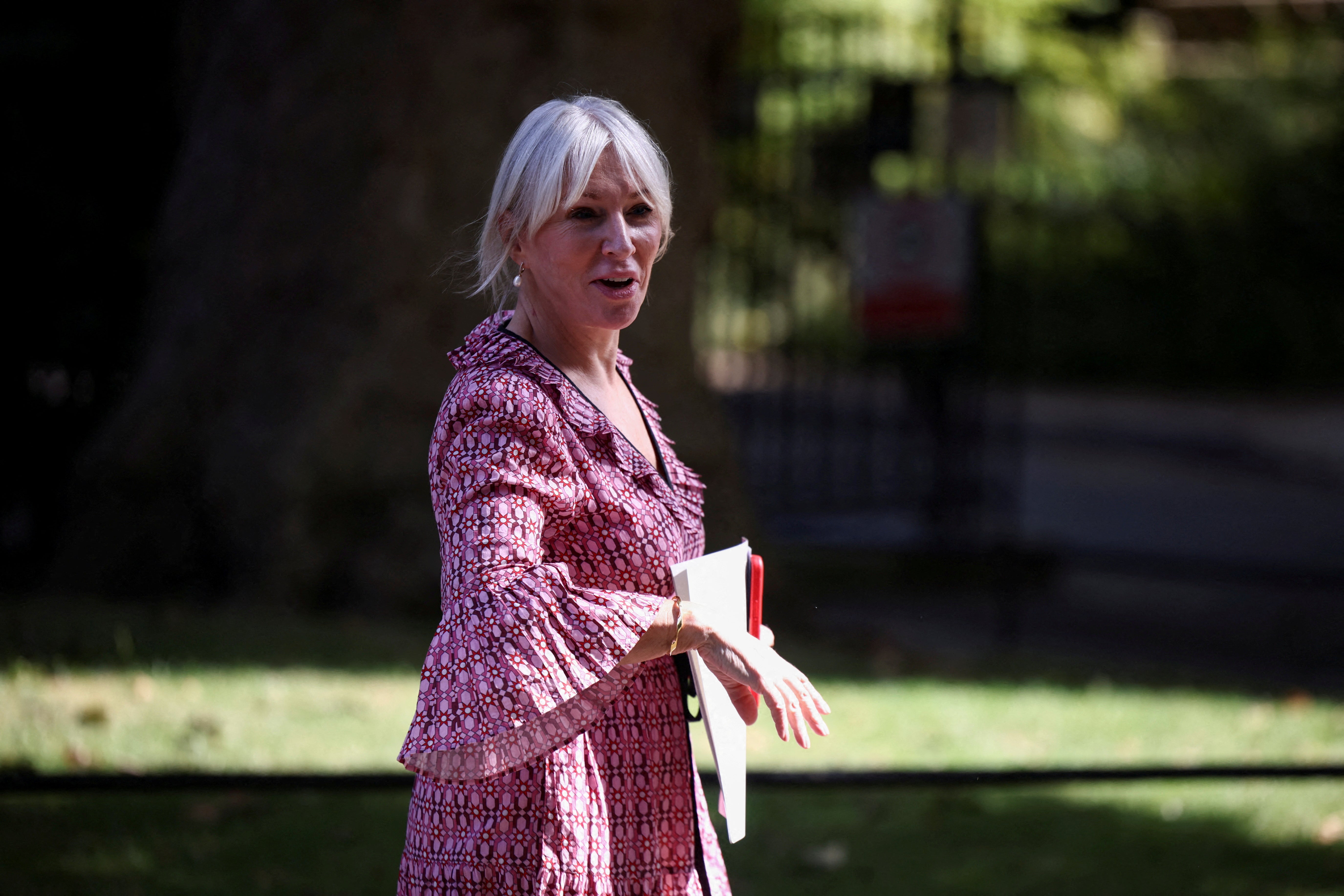 Nadine Dorries has written a book about parliament that is set to come out this autumn