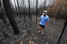 In a state used to hurricanes and flooding, Louisiana is battling an unprecedented wildfire season