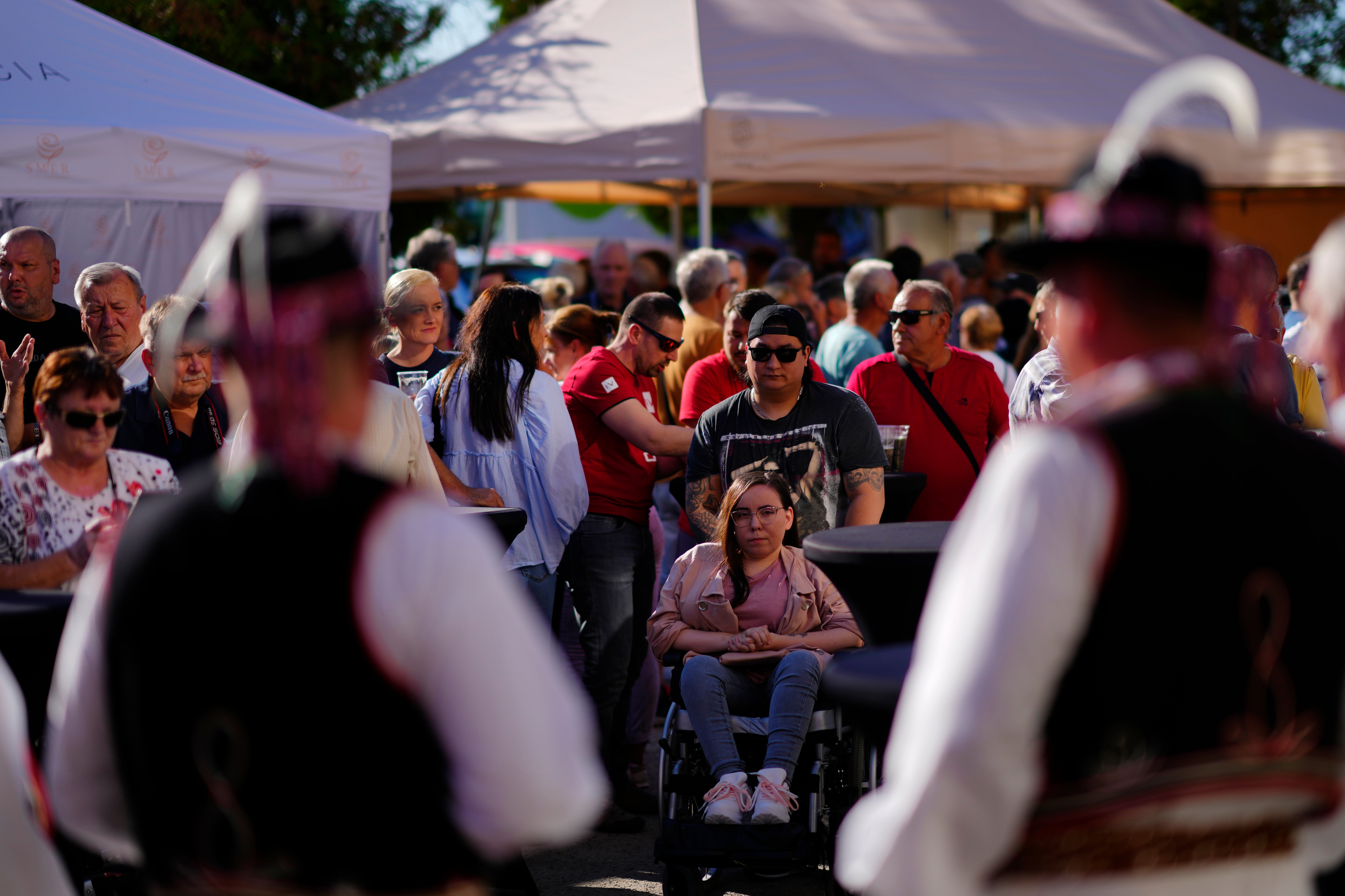 Democracy in Europe Slovakia