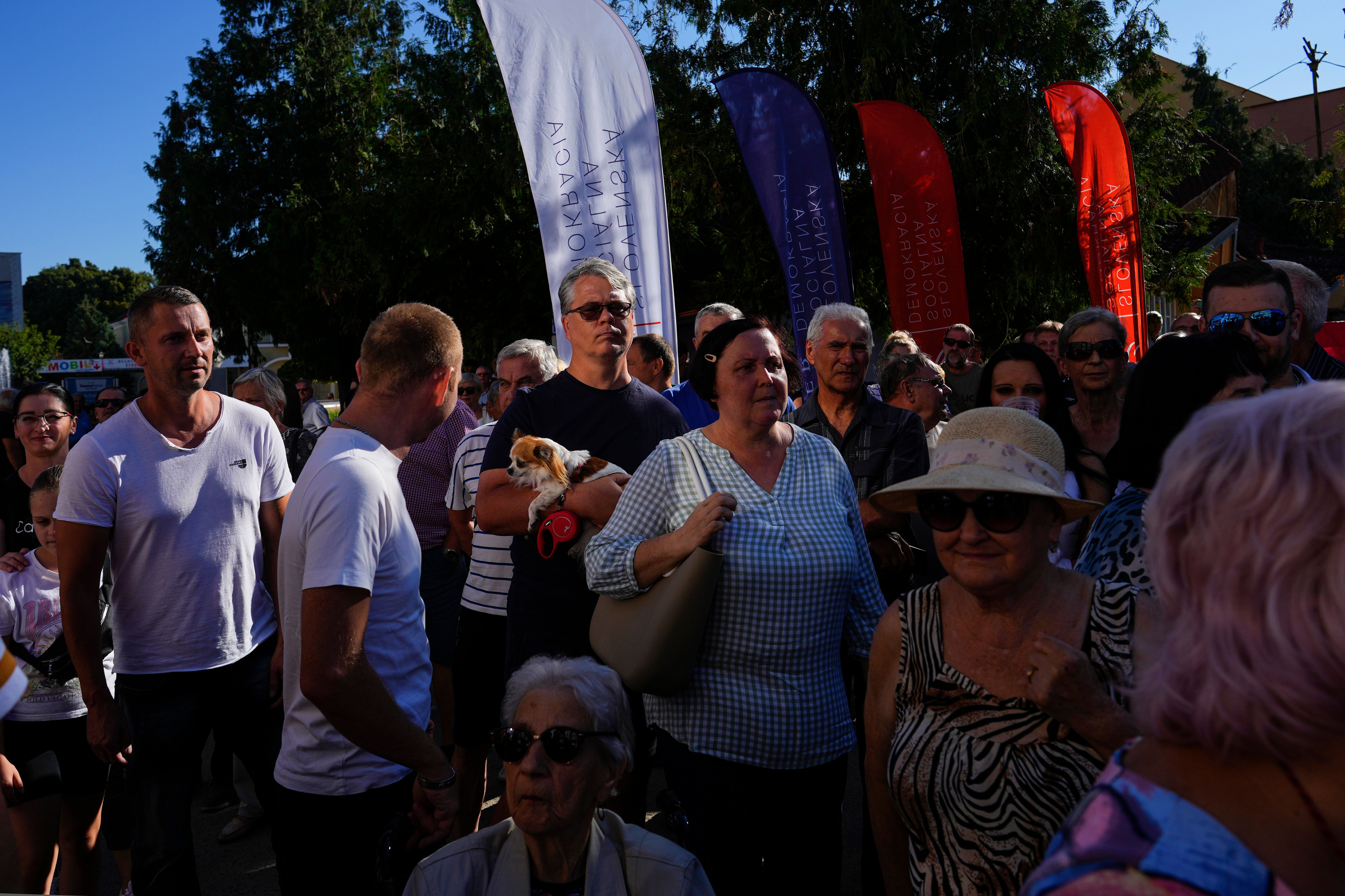 Democracy in Europe Slovakia