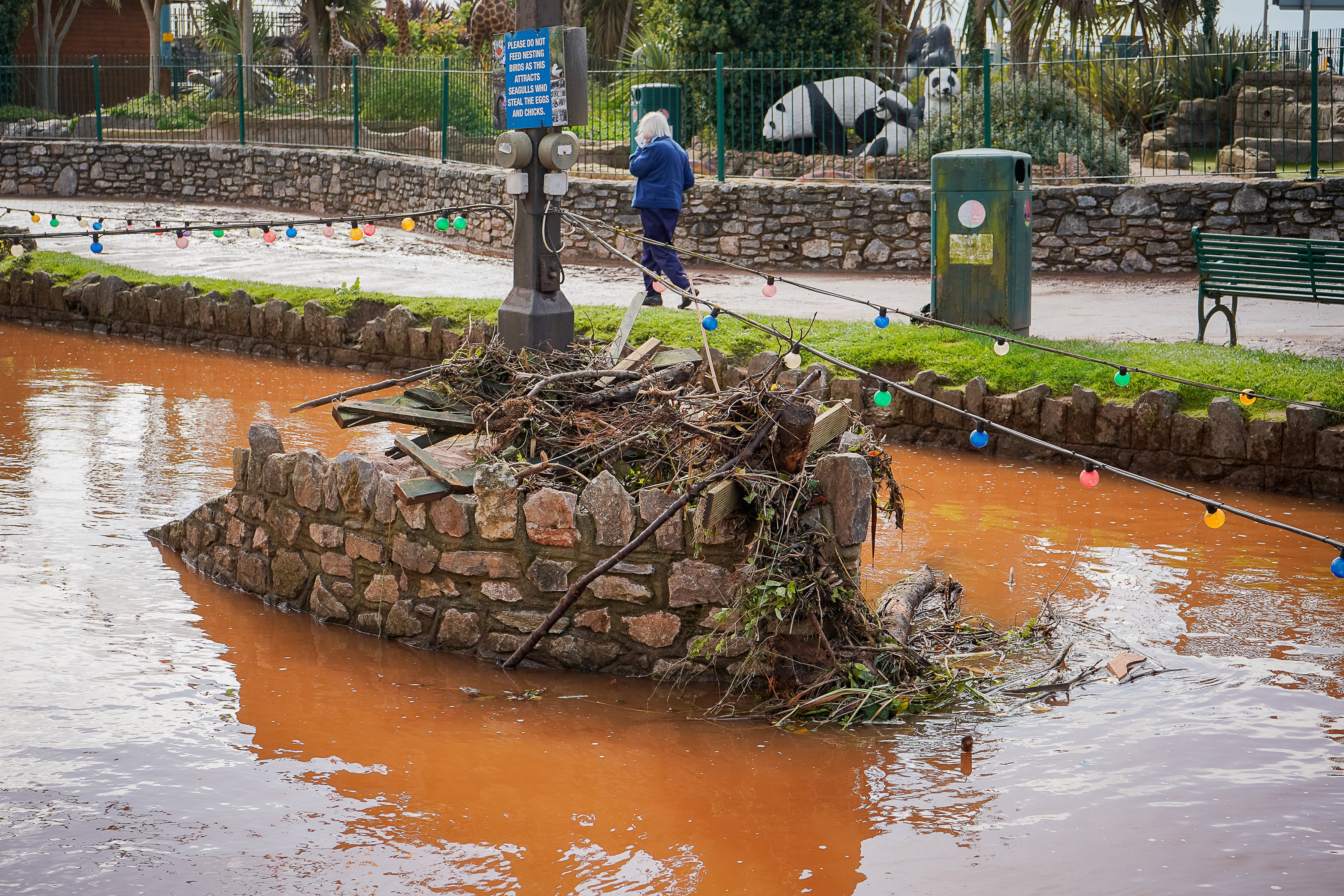 A bridge crossing over a river in Dawlish was submerged by the heavy downpour on Sunday