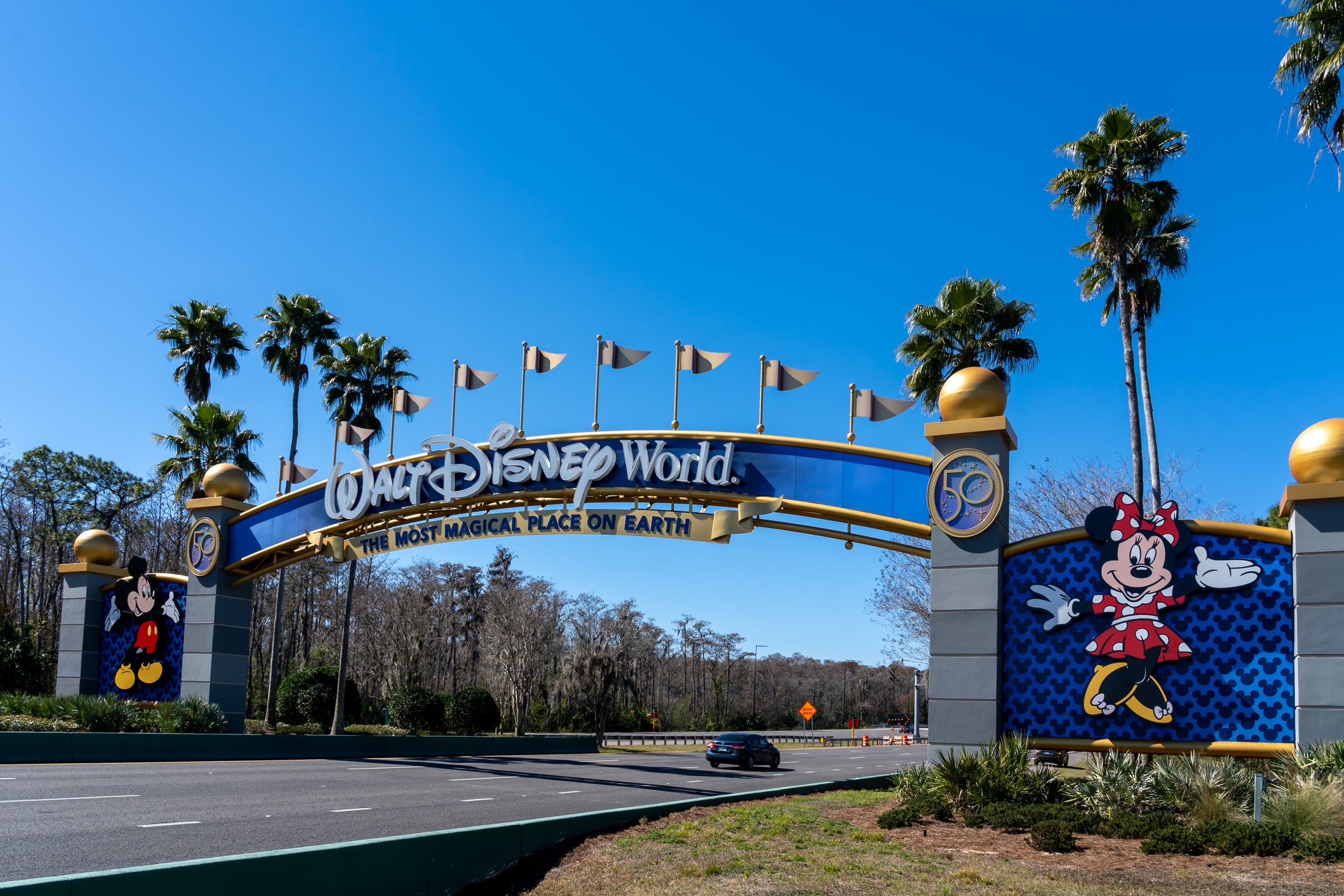 Wild black bear on the loose forces Disney World to close rides