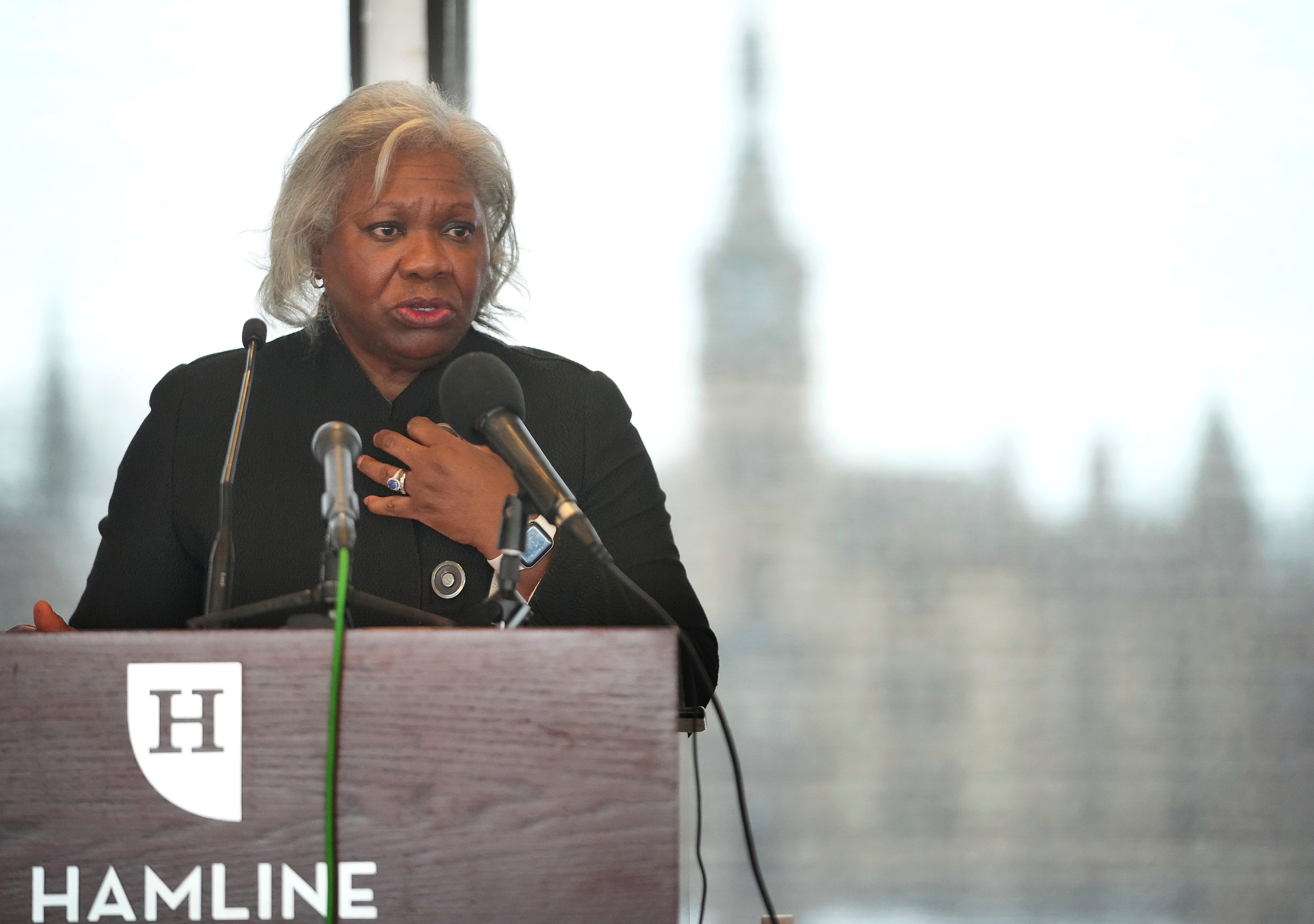 Minnesota Professor Islamic Art