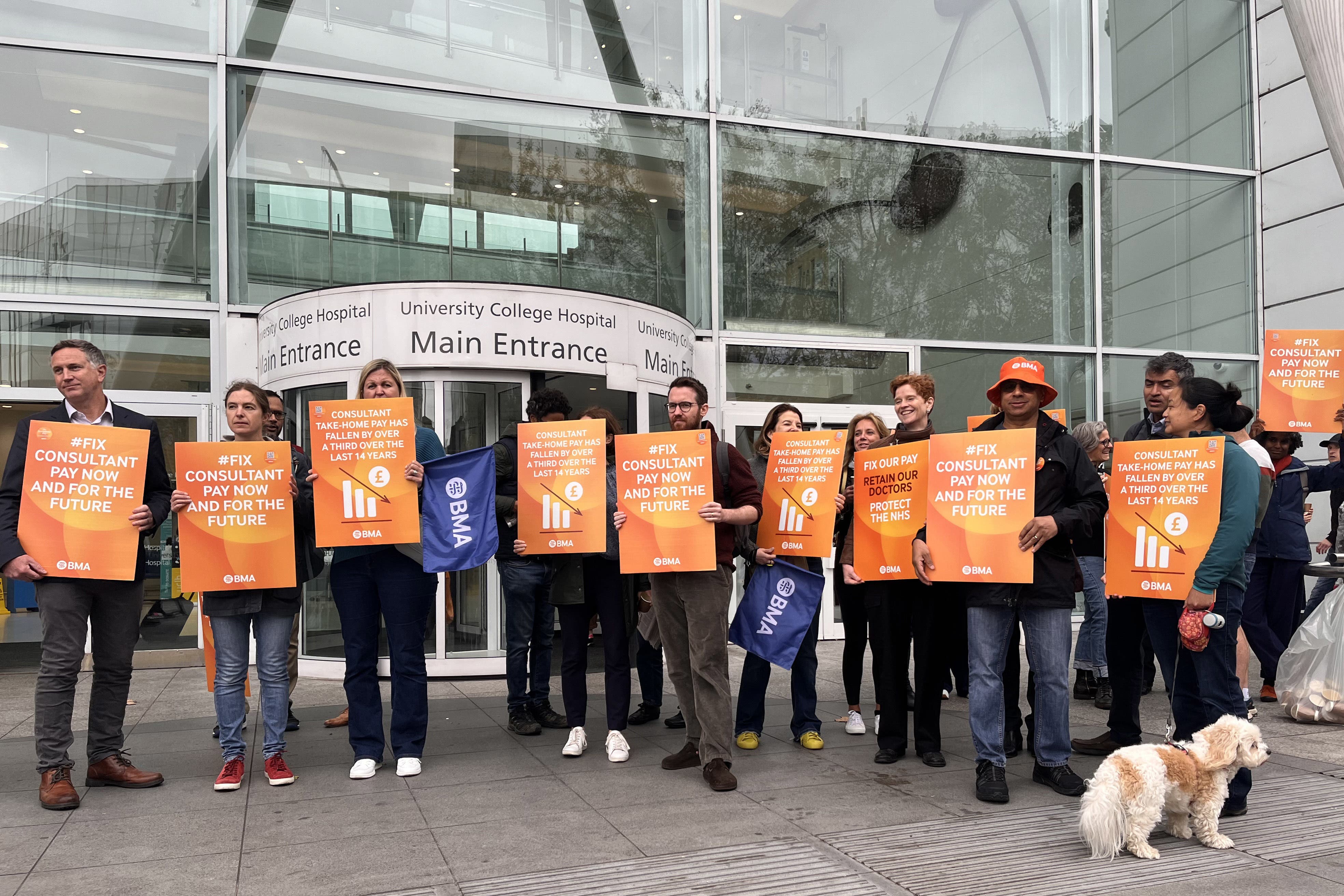 Medical consultant members of the British Medical Association on the picket line outside University College Hospital in London (Jamel Smith/PA)