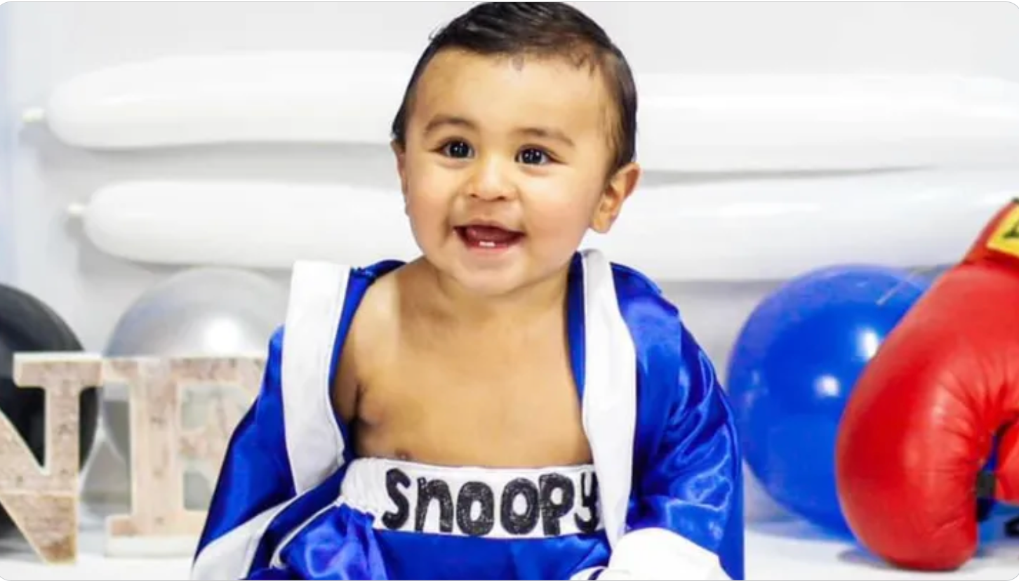 Toddler died after an animal attack