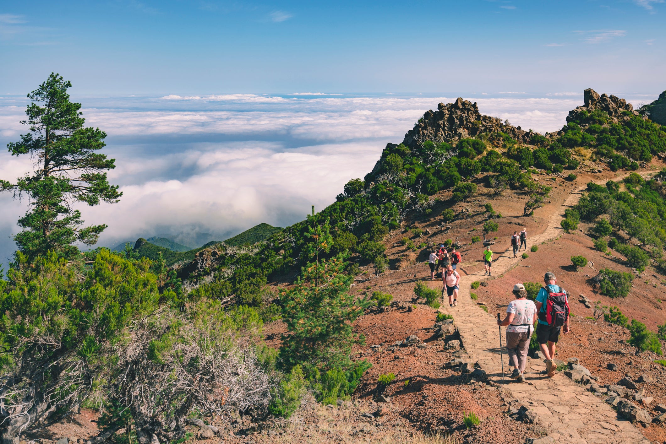 Follow Madeira’s winding levadas on the North Coast path to Porto da Cruz