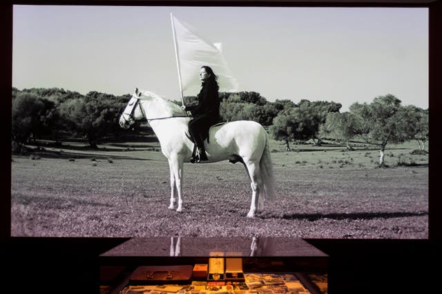 <p>Gallery view of Marina Abramović at the Royal Academy</p>