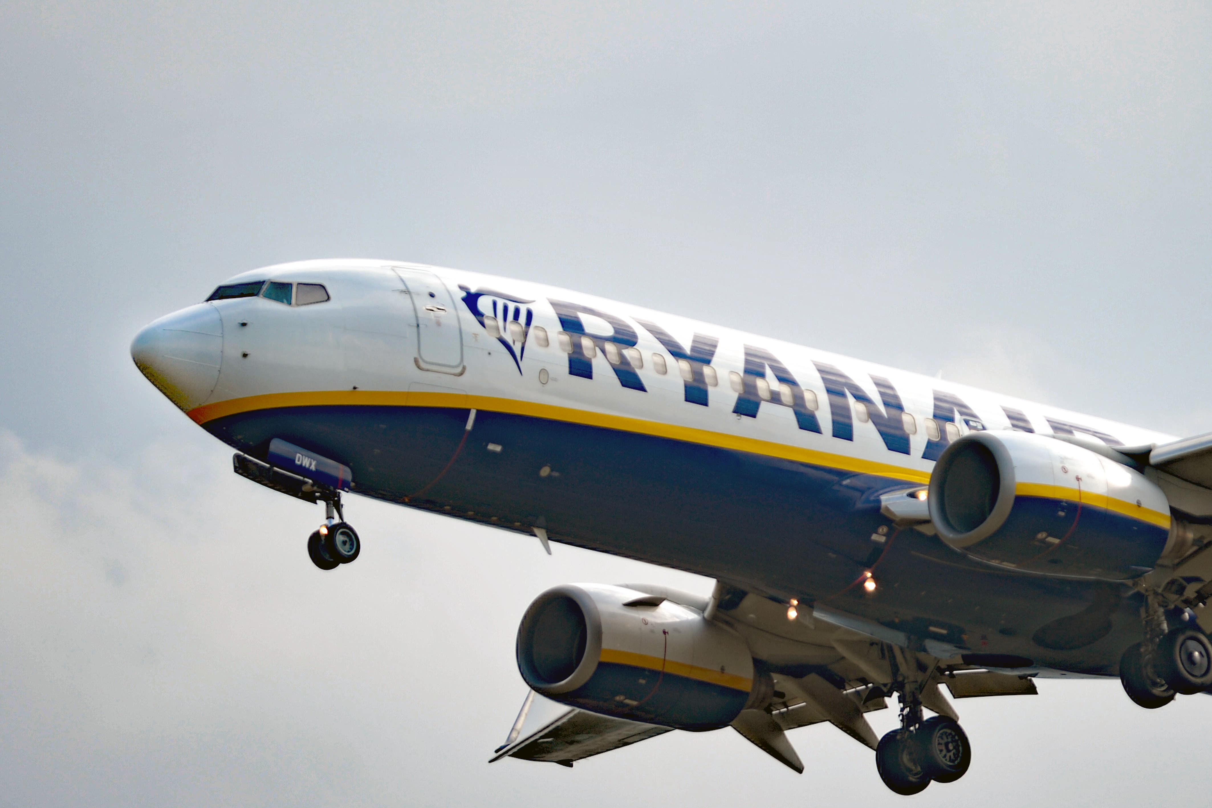 The airline said there would be a roughly 10% cut on passenger numbers out of Dublin Airport compared to last year (PA)