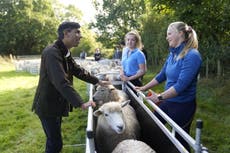 Sunak chats to farming apprentices on back of net-zero announcement