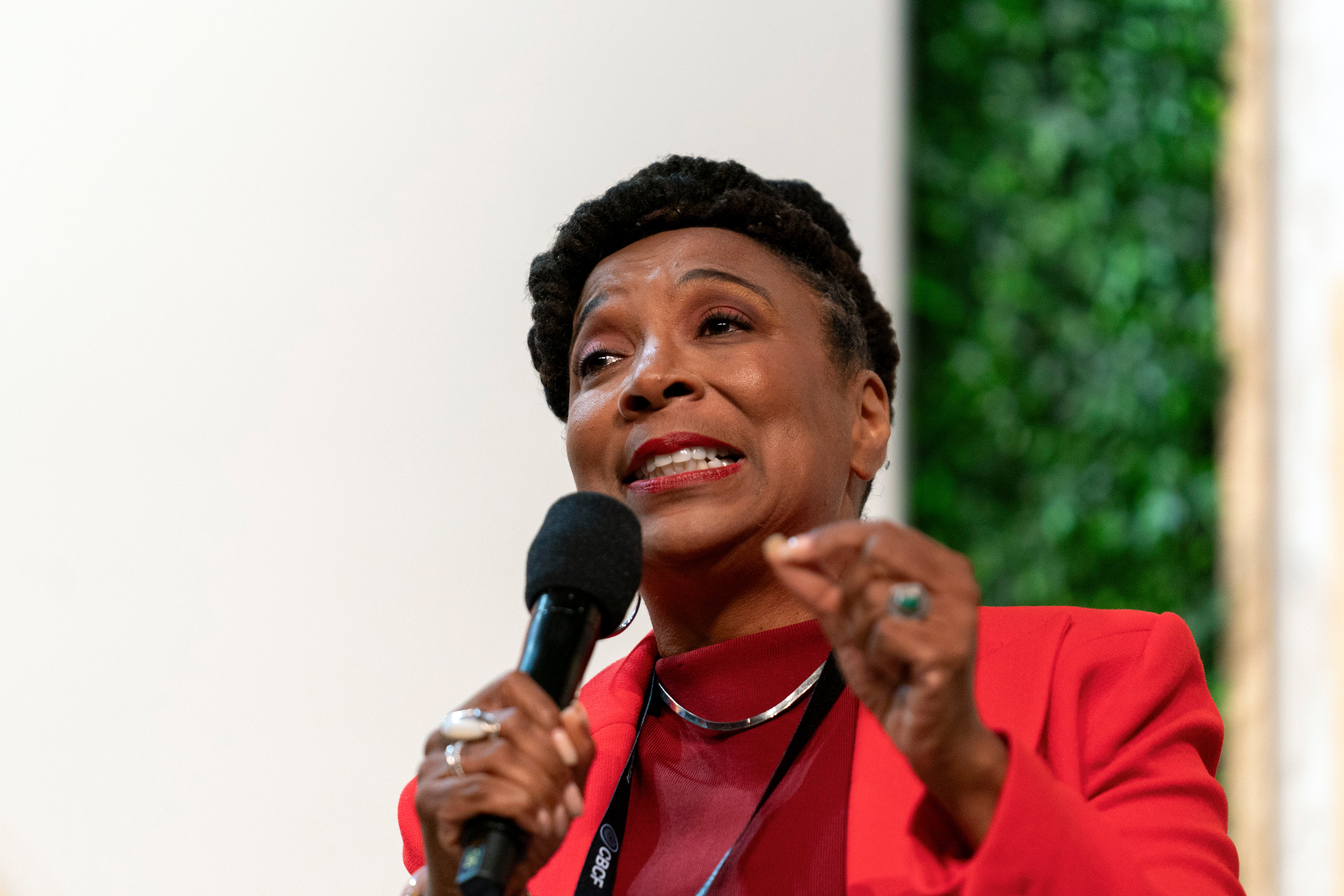 Black Caucus Democracy Threats