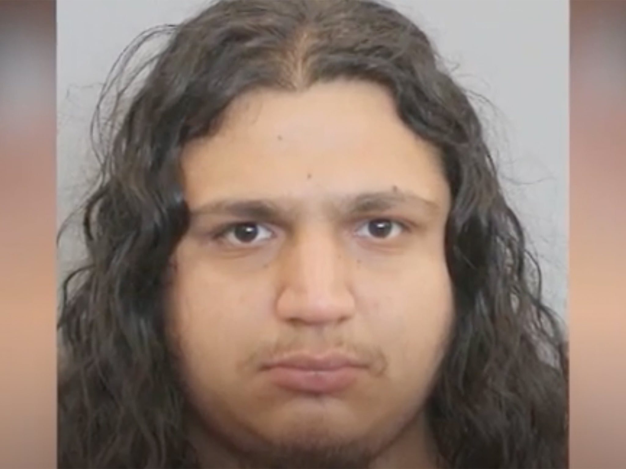 Luis Sanchez, 25, pictured in his mugshot following his arrest in May 2023